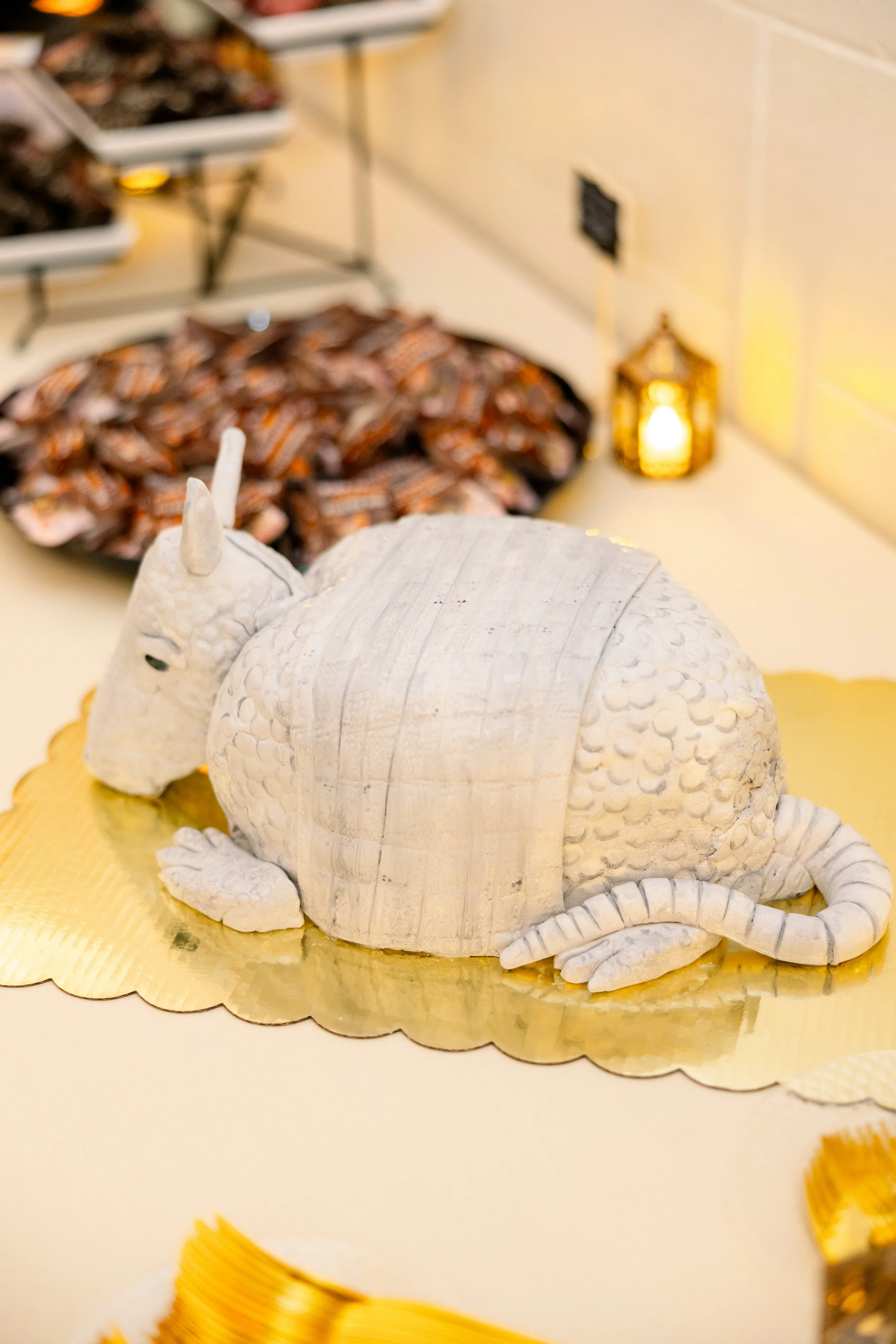Armadillo groom's cake at a fall wedding