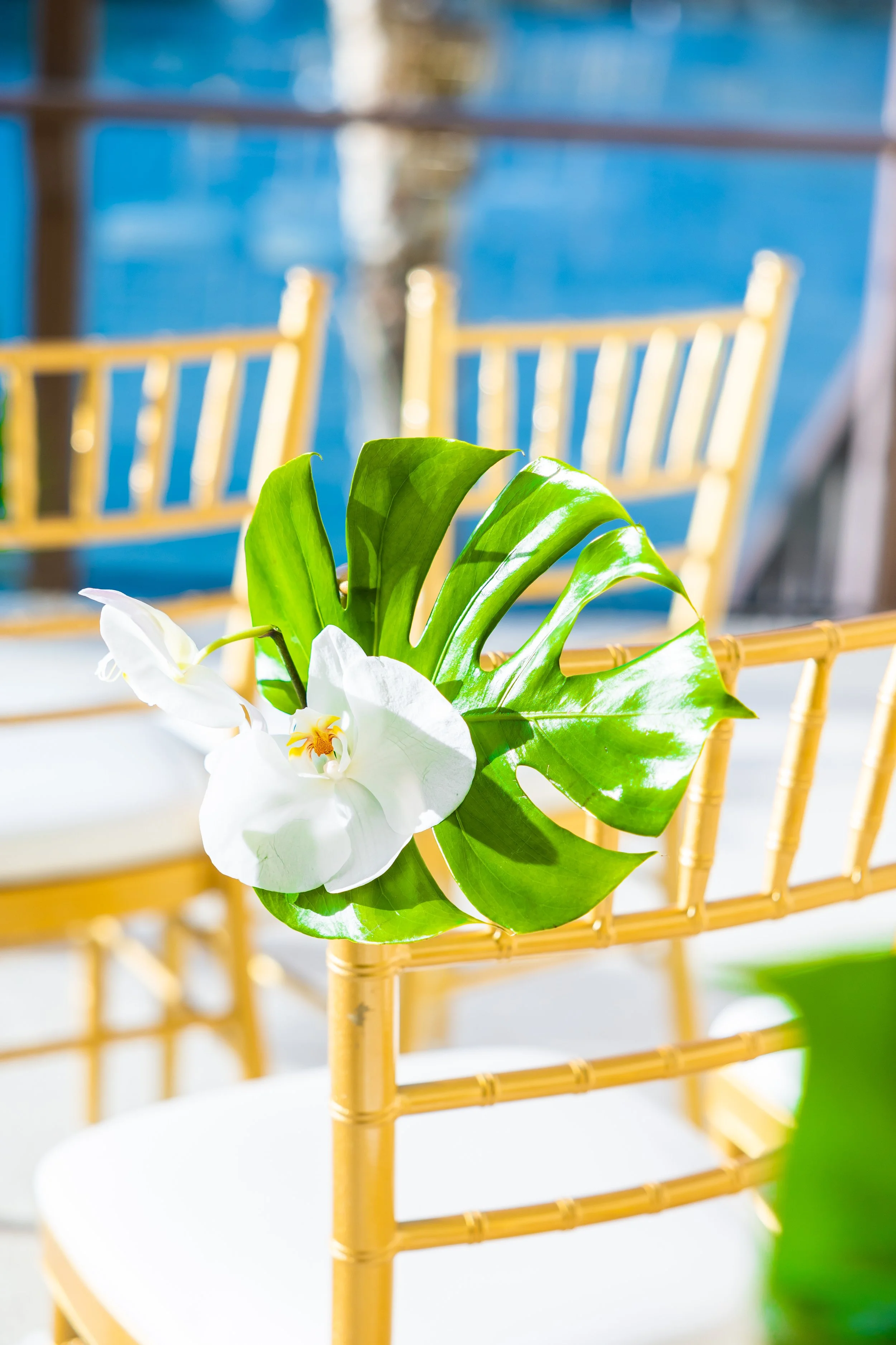 Gold chair with a monstera leaf and white orchid at a Dana Point Yacht Club ceremony