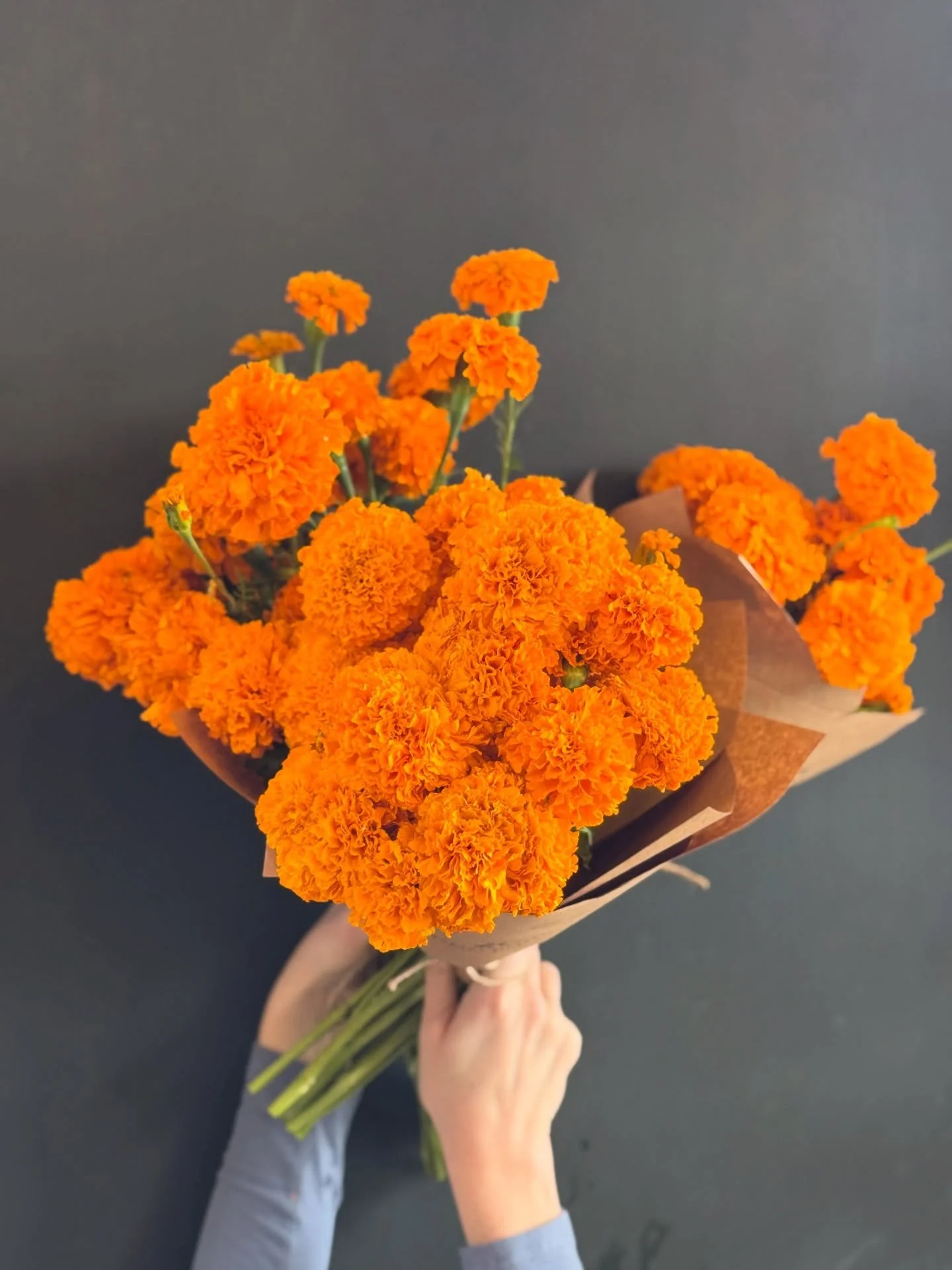 Marigold wraps for D&iacute;a de los Muertos 🧡
Available now &mdash; $22 a bunch.
A beautiful way to honor and remember loved ones with the traditional bloom of the season!

#foragesistersfloraldesign #marigolds #diadelosmuertos💀 #honoringthedead #