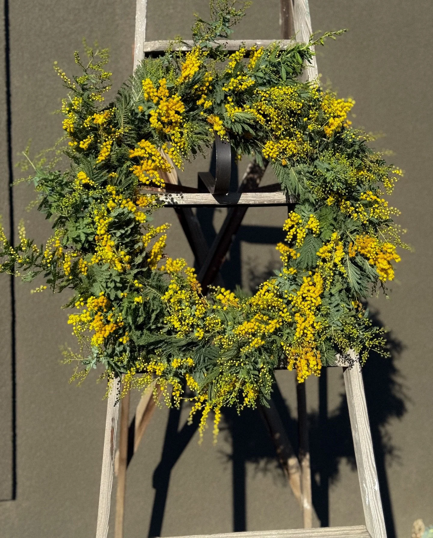 Golden blooms, gathered and woven by hand ✨
With January&rsquo;s gloomy days lingering, this blooming acacia wreath feels like a little love letter to the season&mdash;soft, wild, and full of sunshine. Foraged textures, natural movement, and that unm