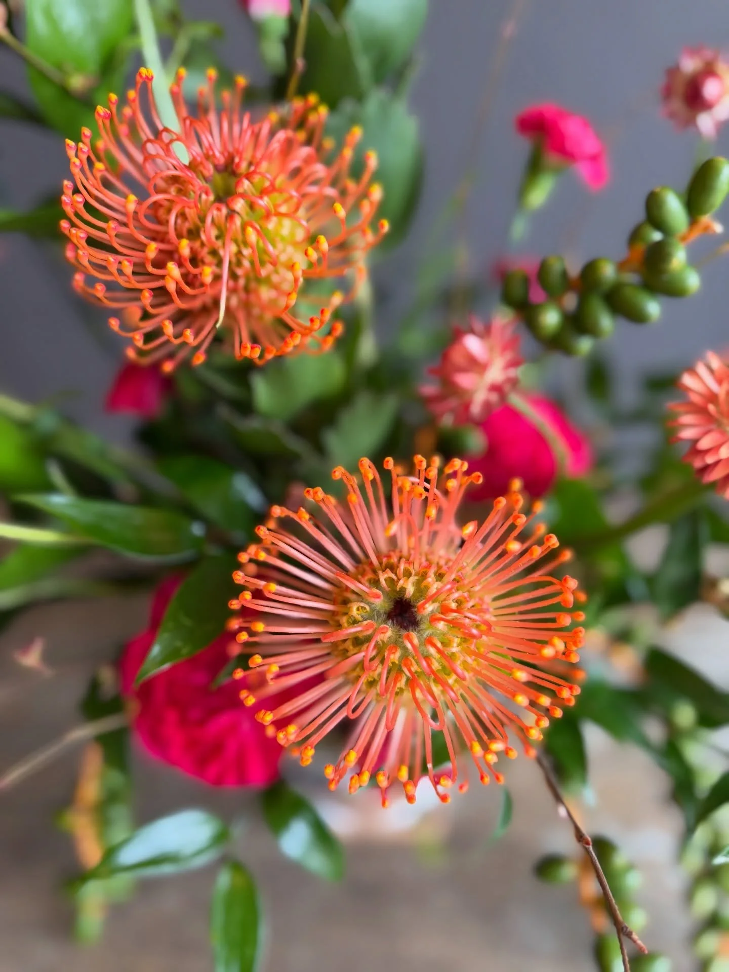 Late February finally brought the cold&hellip; so we brought the BRIGHTS.

We&rsquo;re feeling all the happy flowers today &mdash; bold pincushions, juicy textures, and pops of color to chase away these winter blues. When the weather turns chilly, we