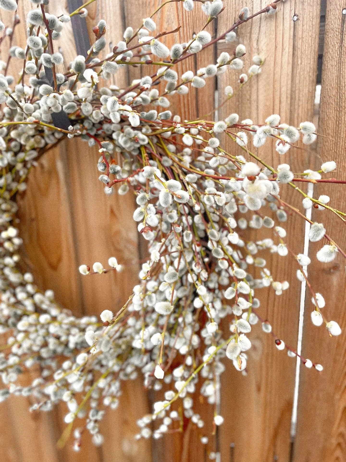 Wild stems, soft texture, and the first hint of spring! 

Jackie made these fresh pussy willow wreaths this week and we&rsquo;re completely in love with them.
Natural movement, simple beauty, and perfect for welcoming the season ahead.

Available now