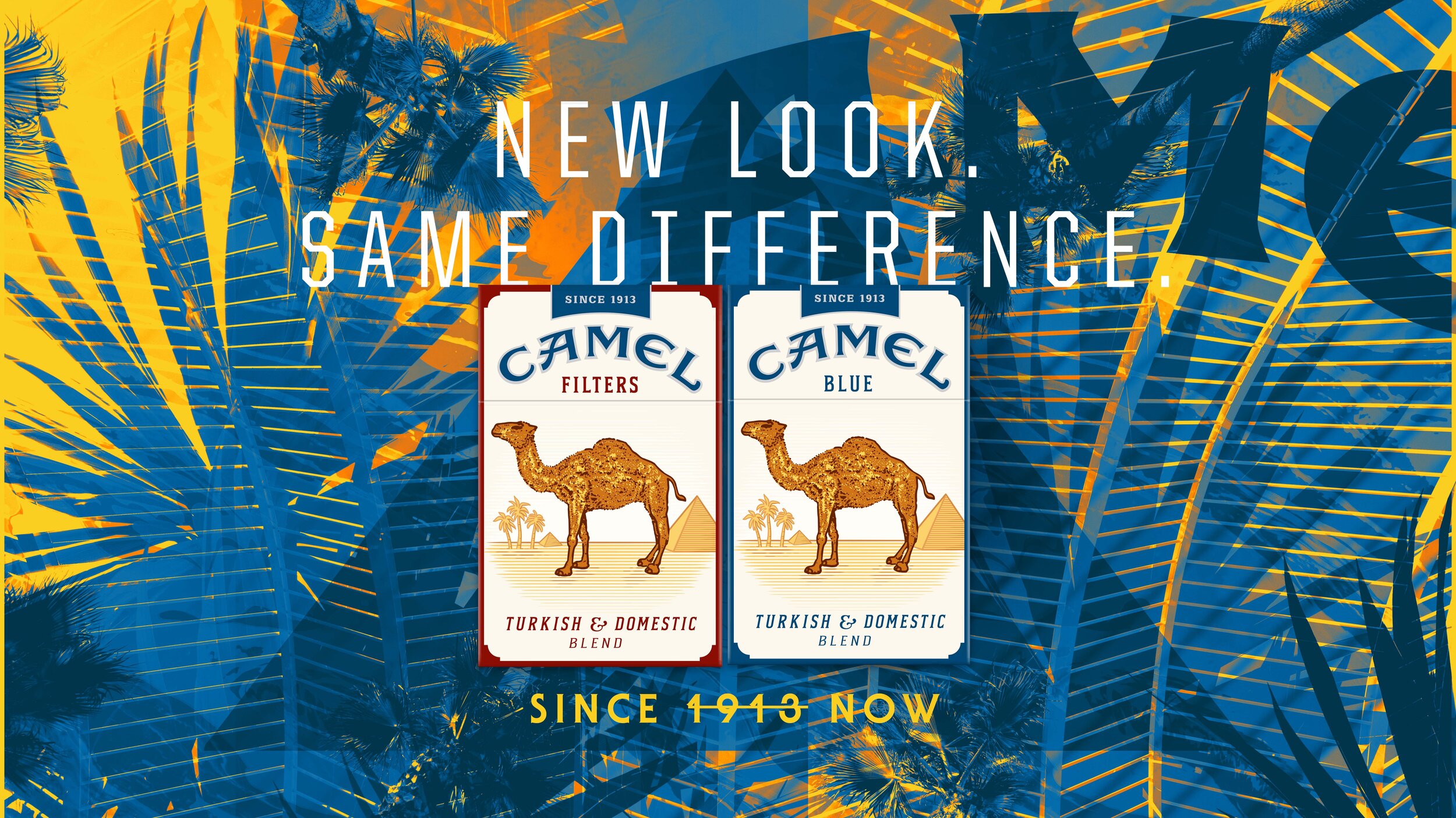 Camel