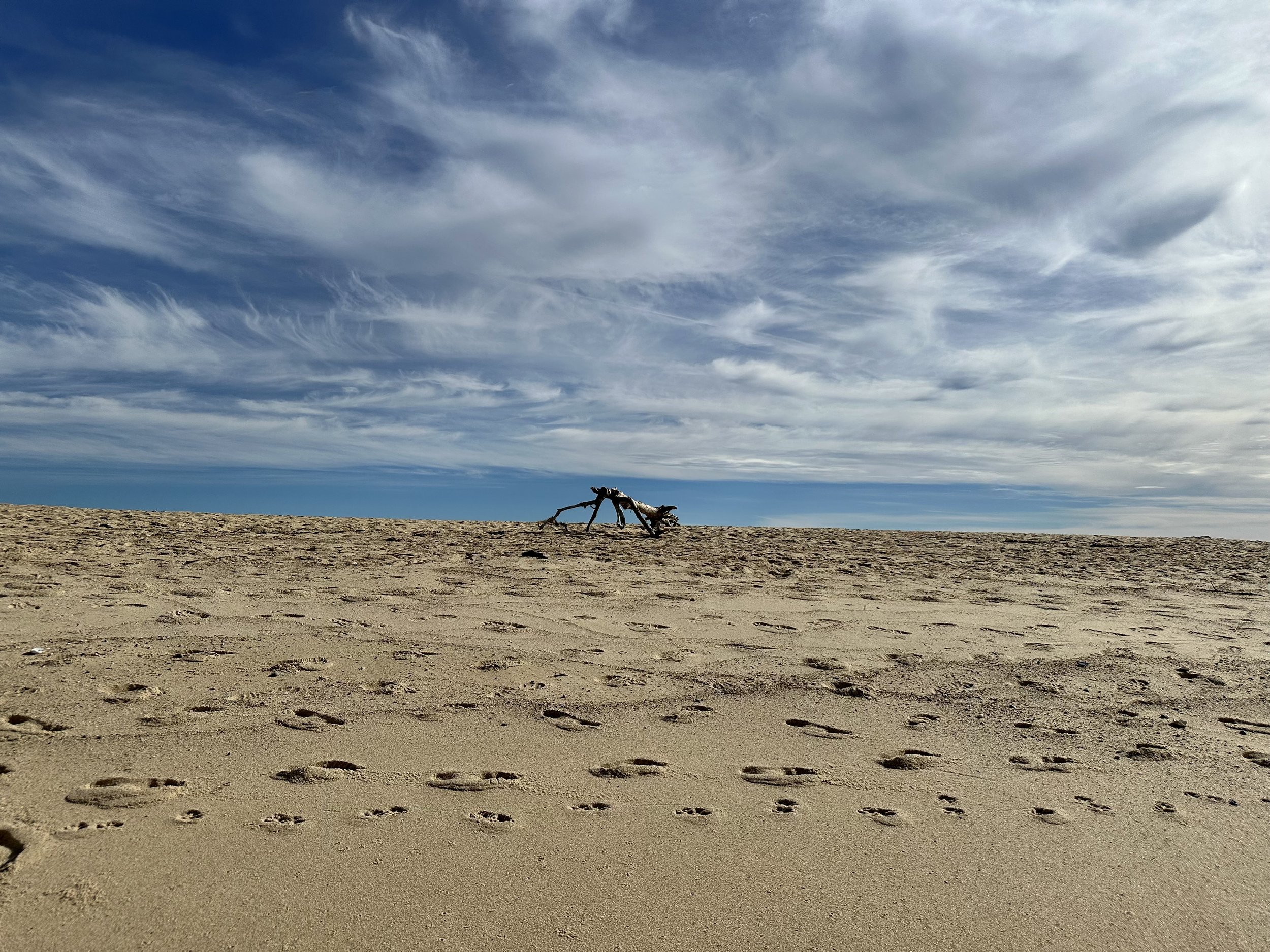 Race Point Beach, Provincetown, Massachusetts