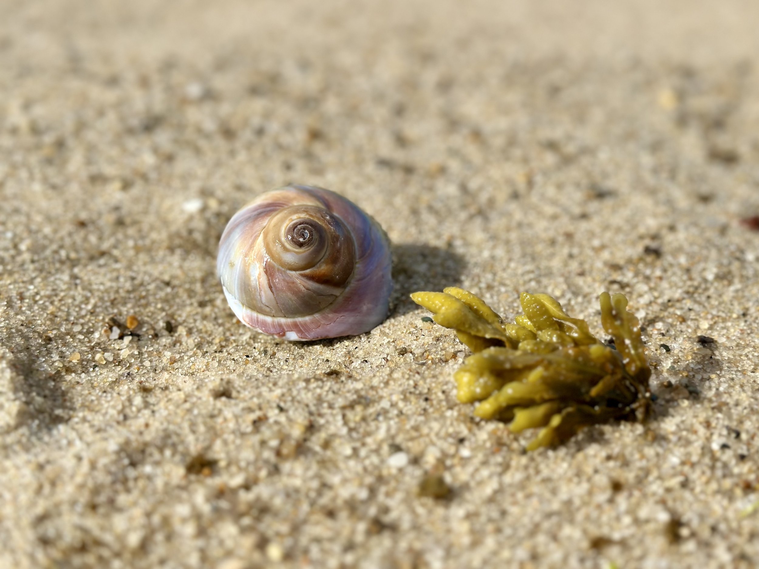 Race Point Beach, Provincetown, Massachusetts