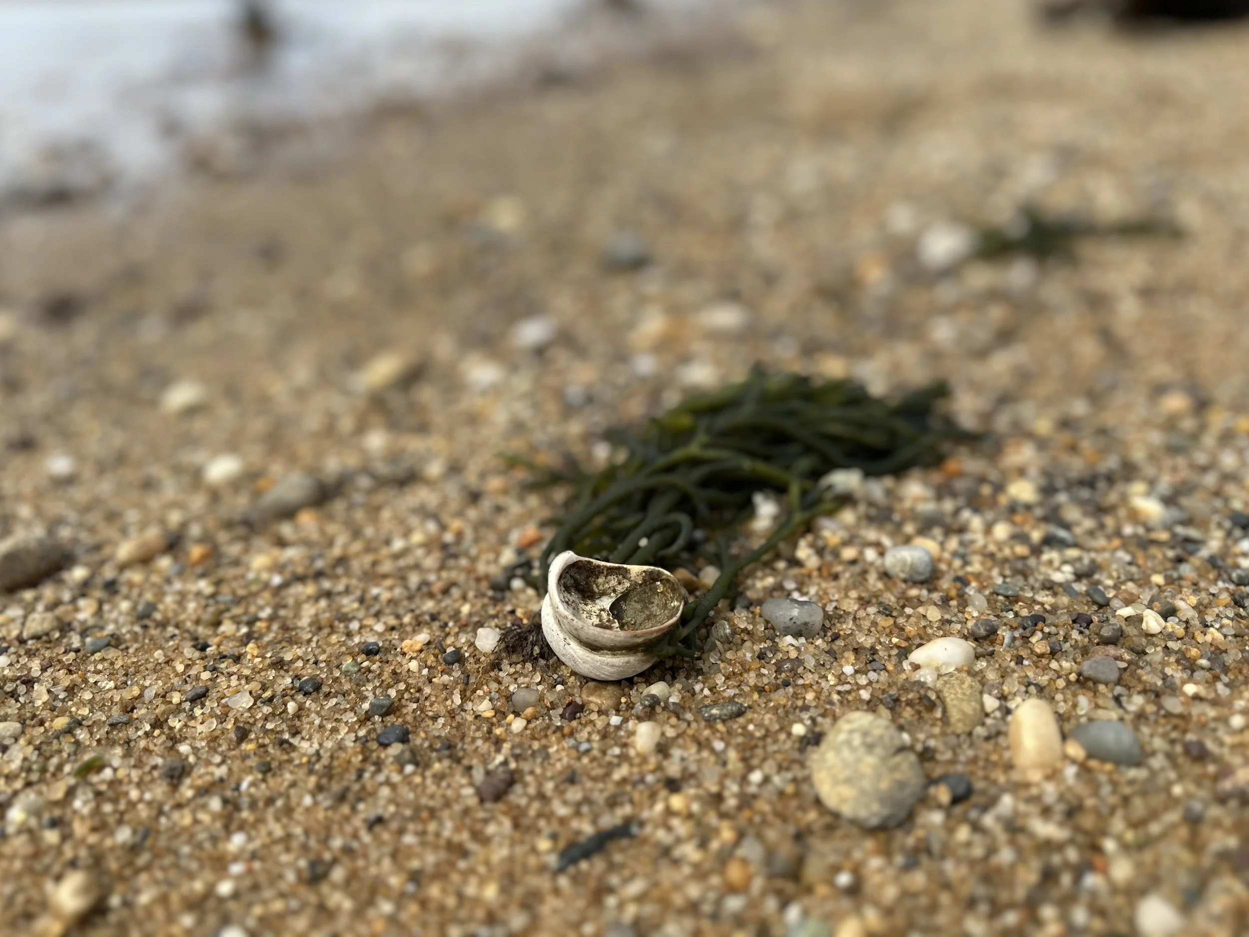 Herring Cove Beach, Provincetown, Massachusetts