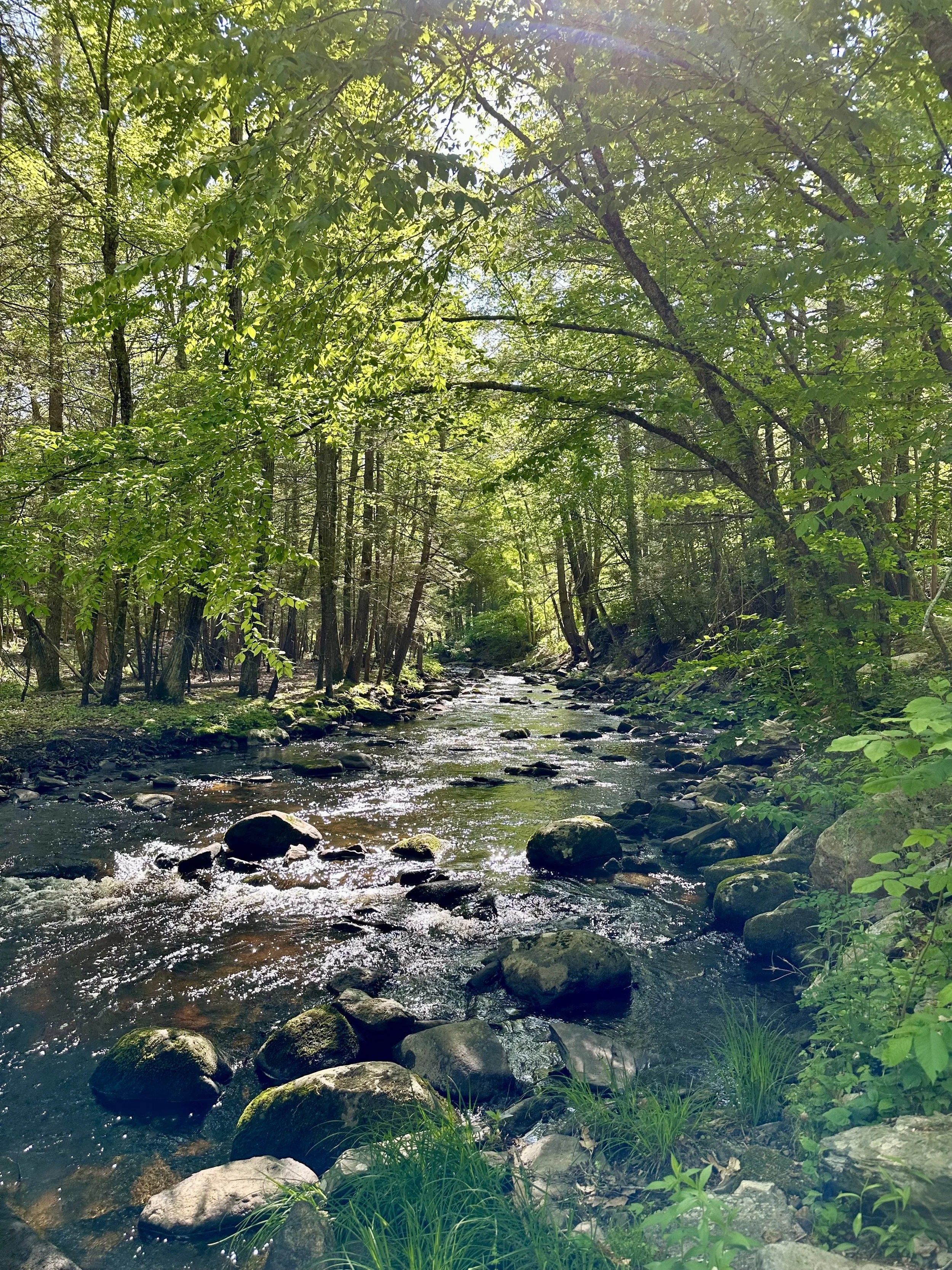 Mashamoquet Brook State Park, Pomfret Center, Connecticut