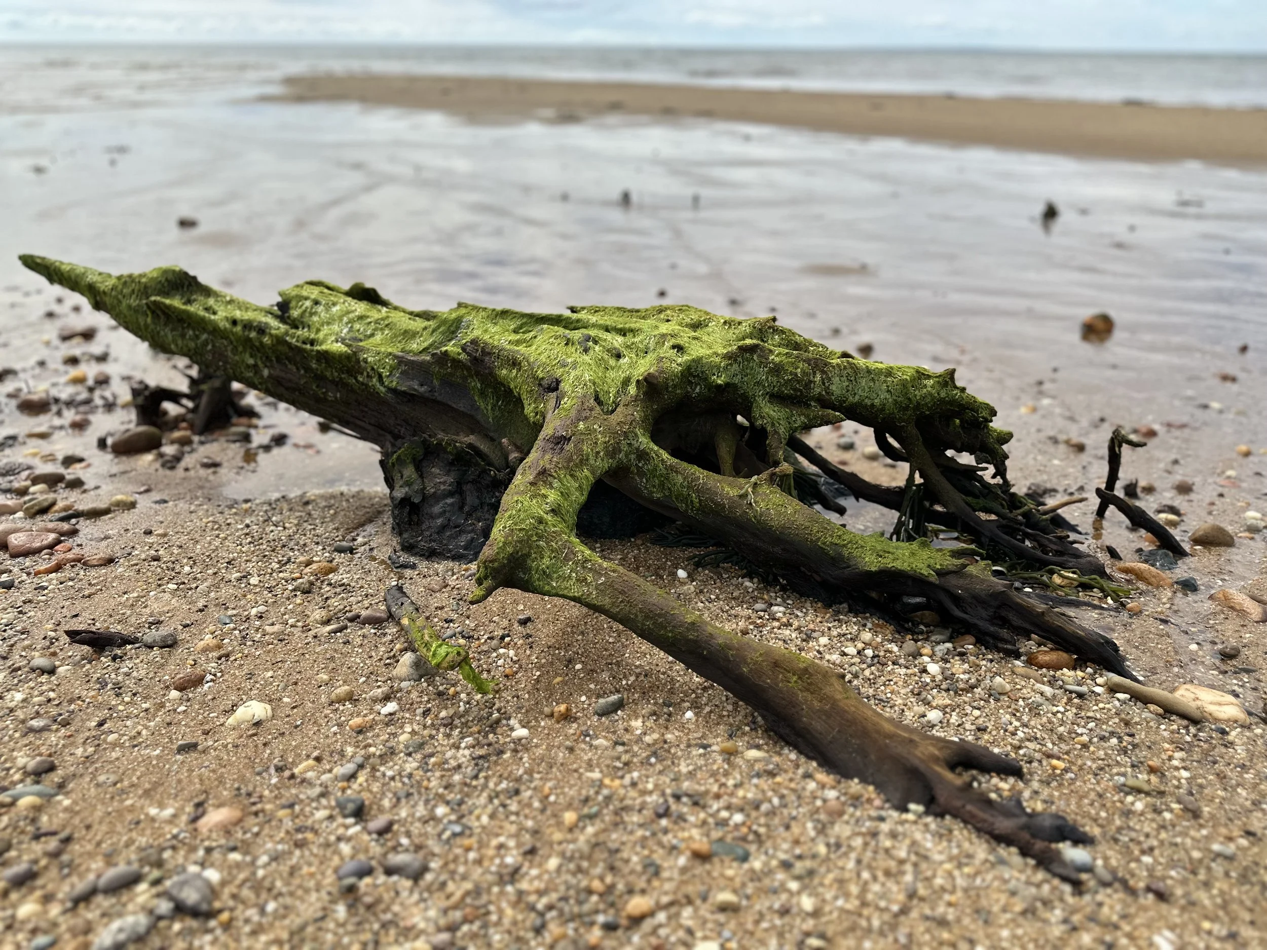 Herring Cove Beach, Provincetown, Massachusetts