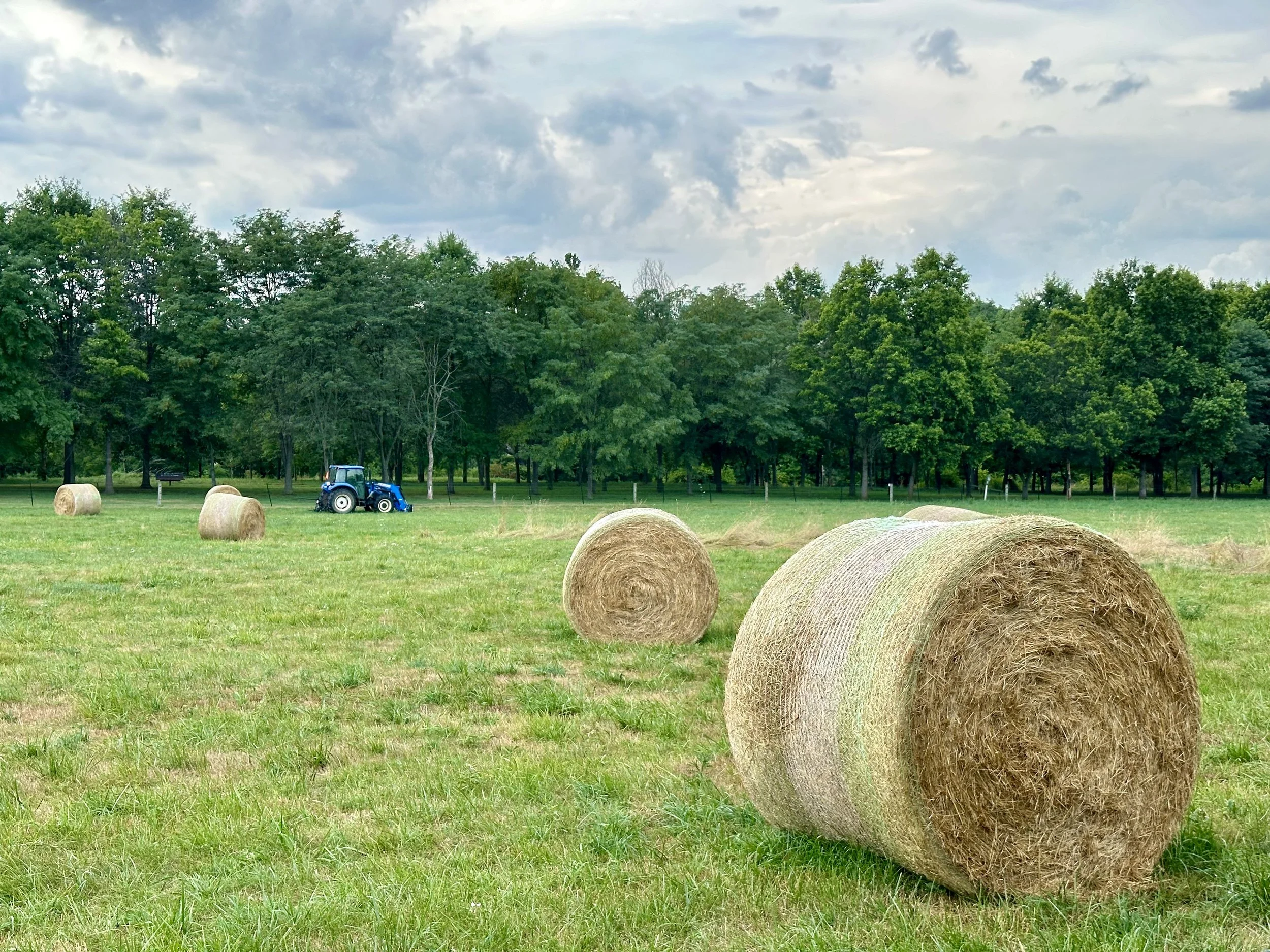 Luray, Virginia