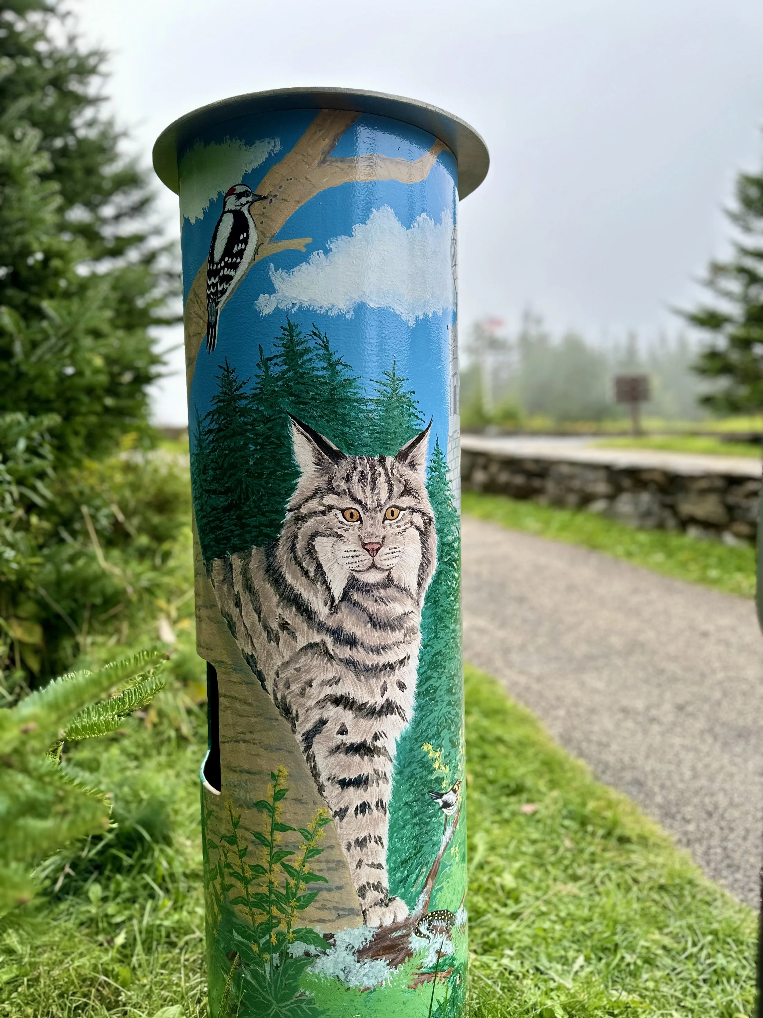 Mount Greylock, Adams, Massachusetts