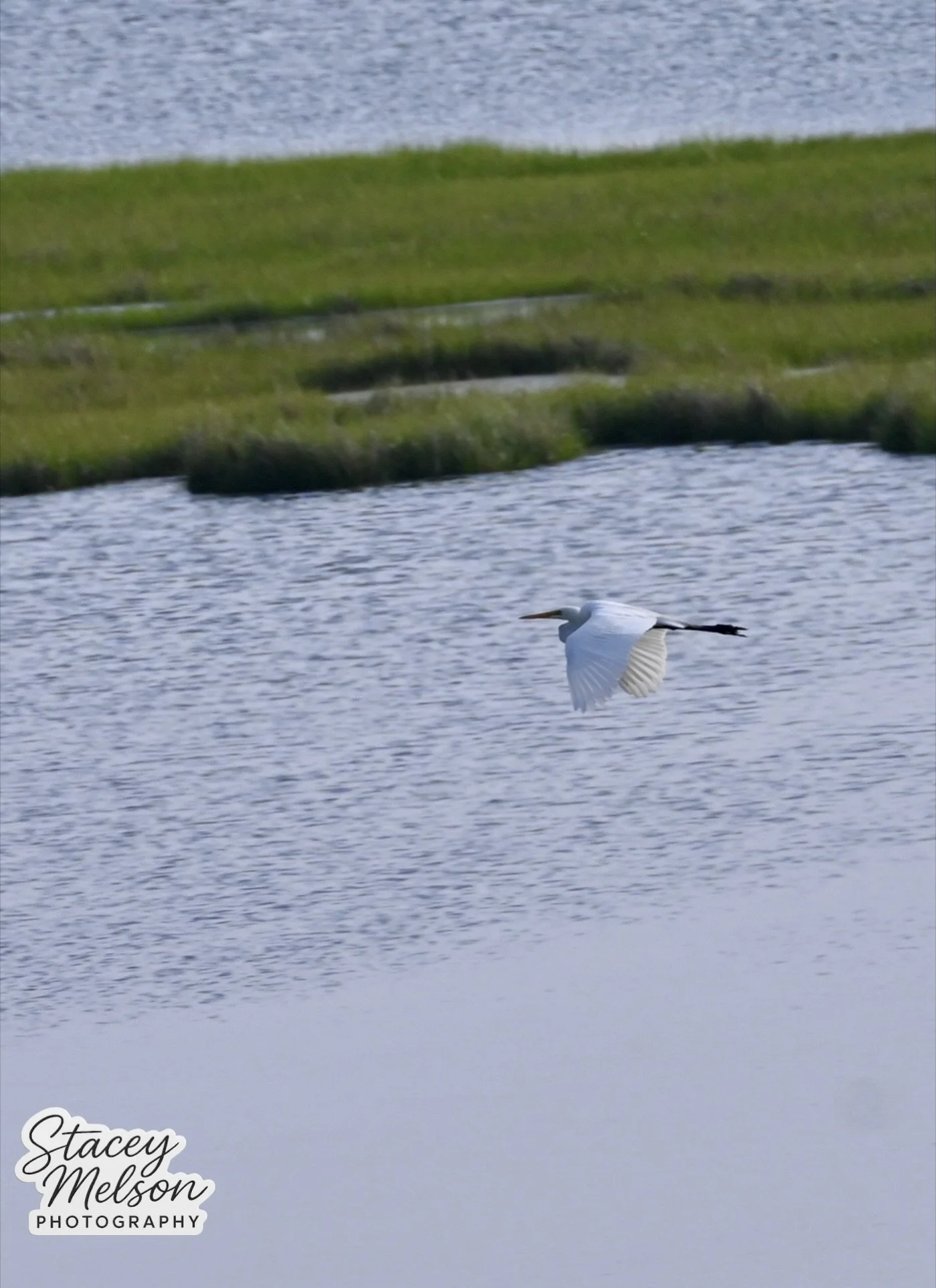 DSC_1032.jpeg