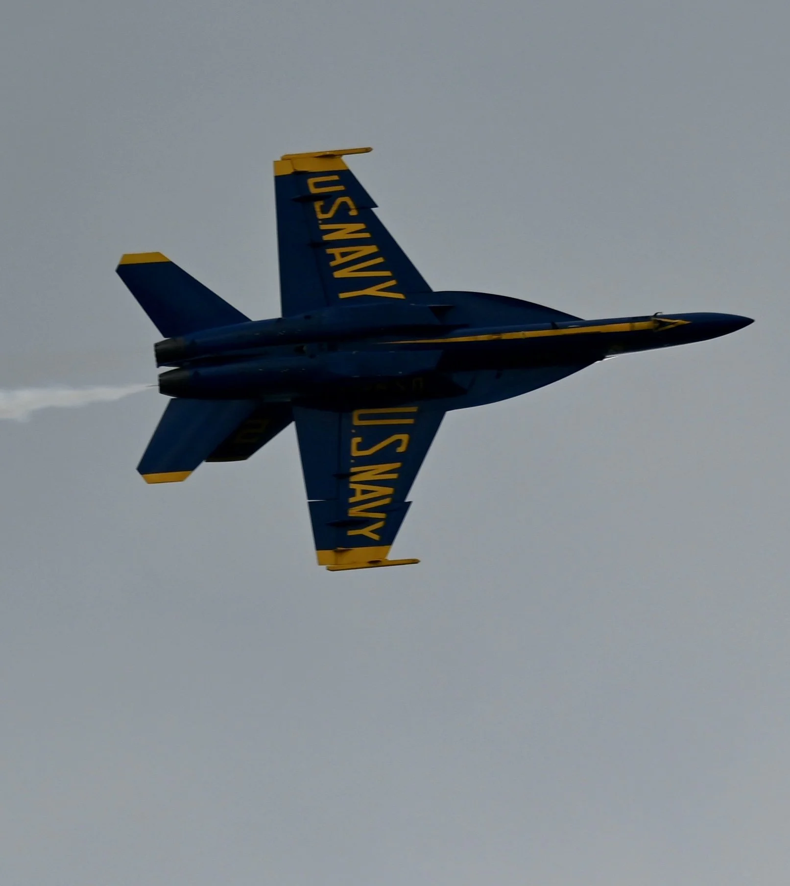 DSC_8758.jpeg