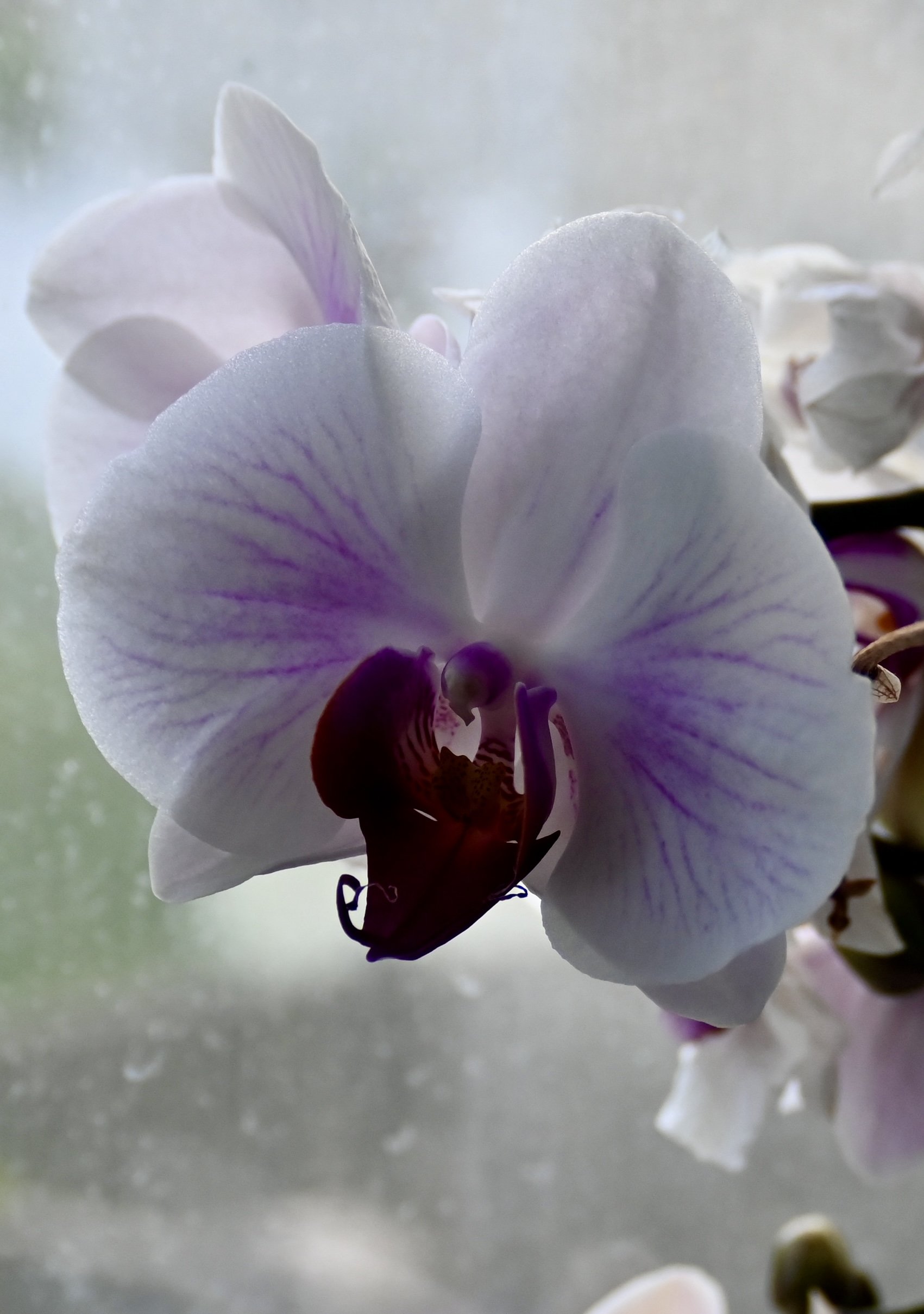 DSC_5374.jpeg