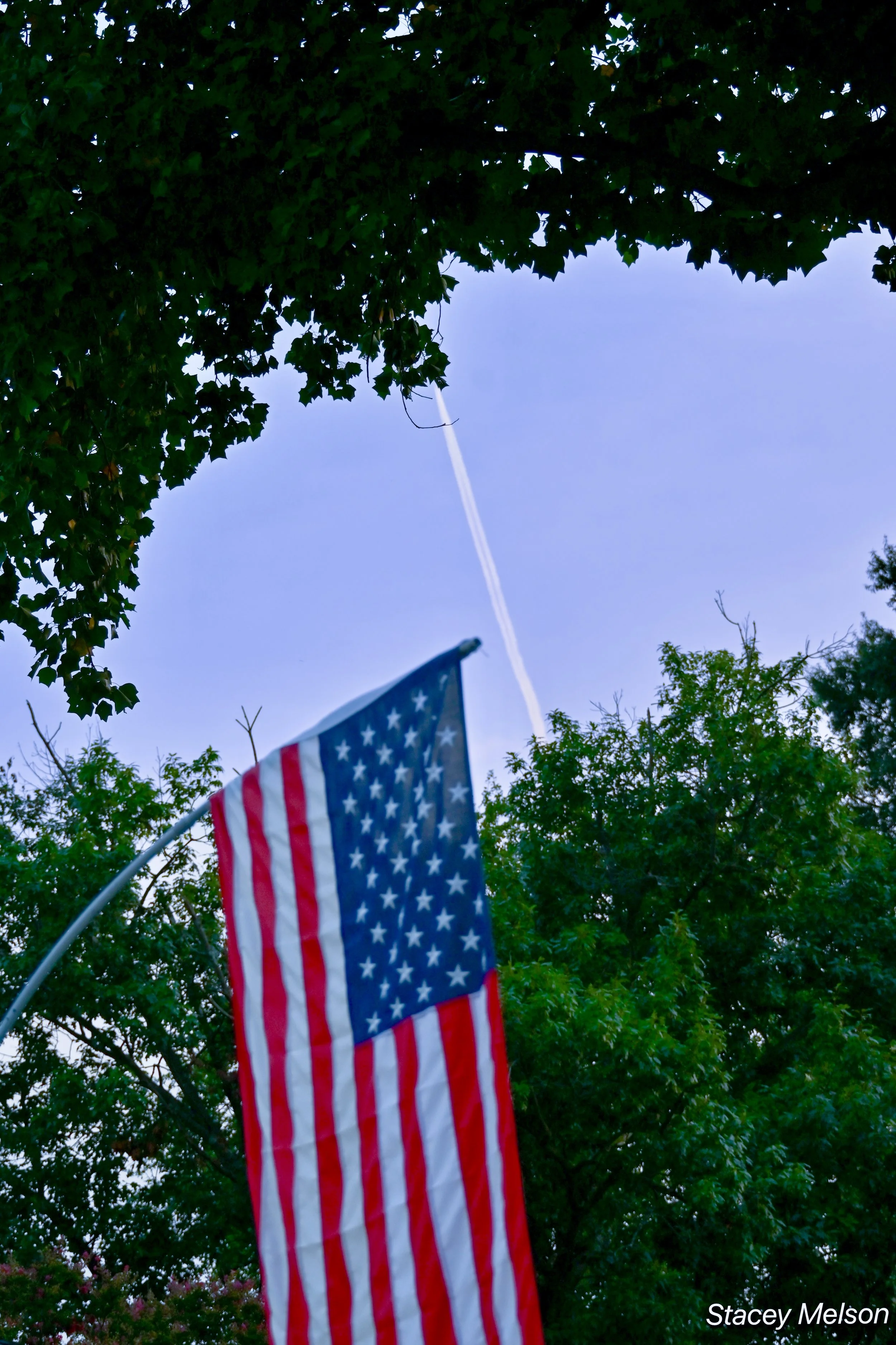 DSC_1564.jpeg