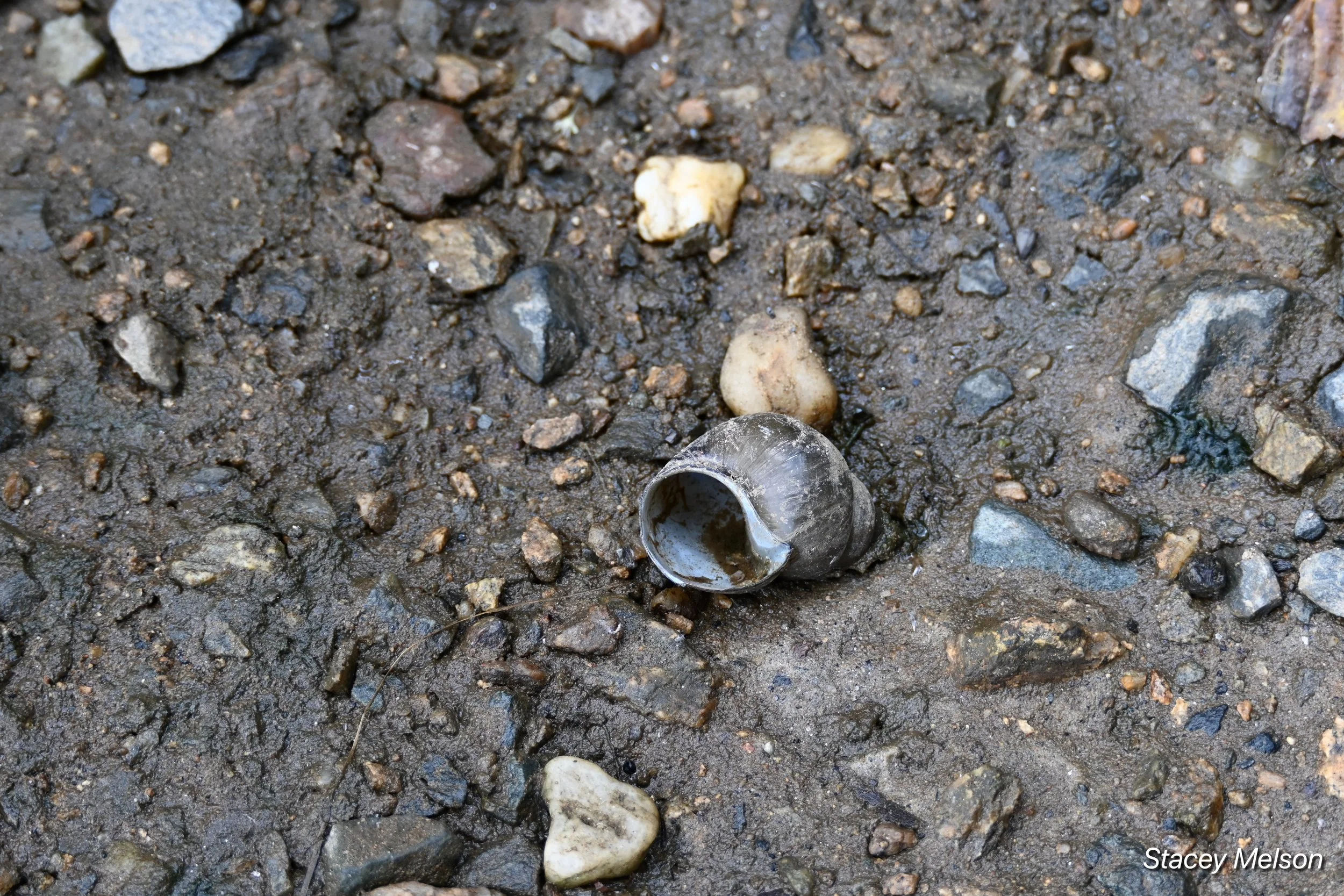 DSC_2890.jpeg