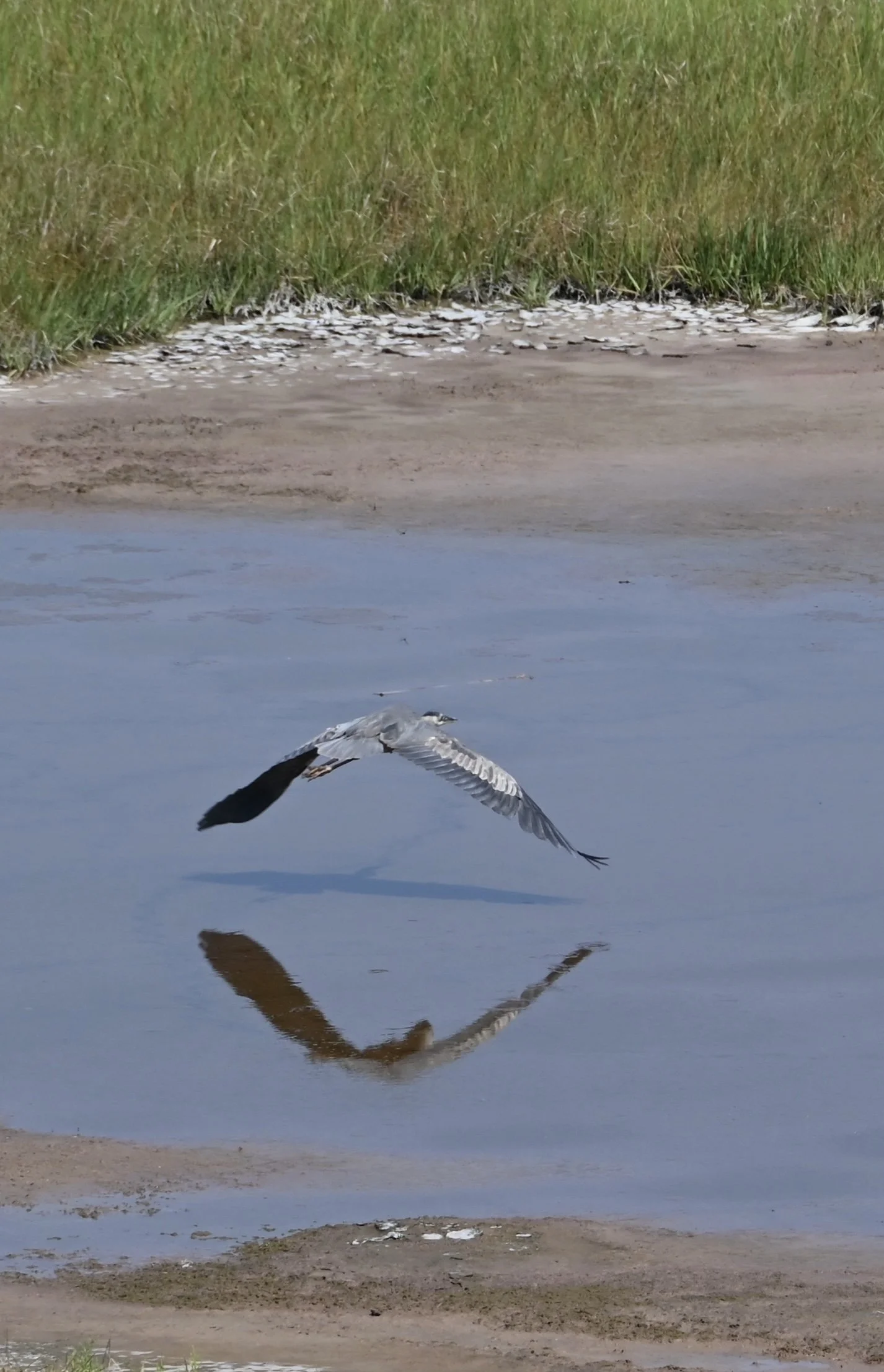 DSC_9568.jpeg