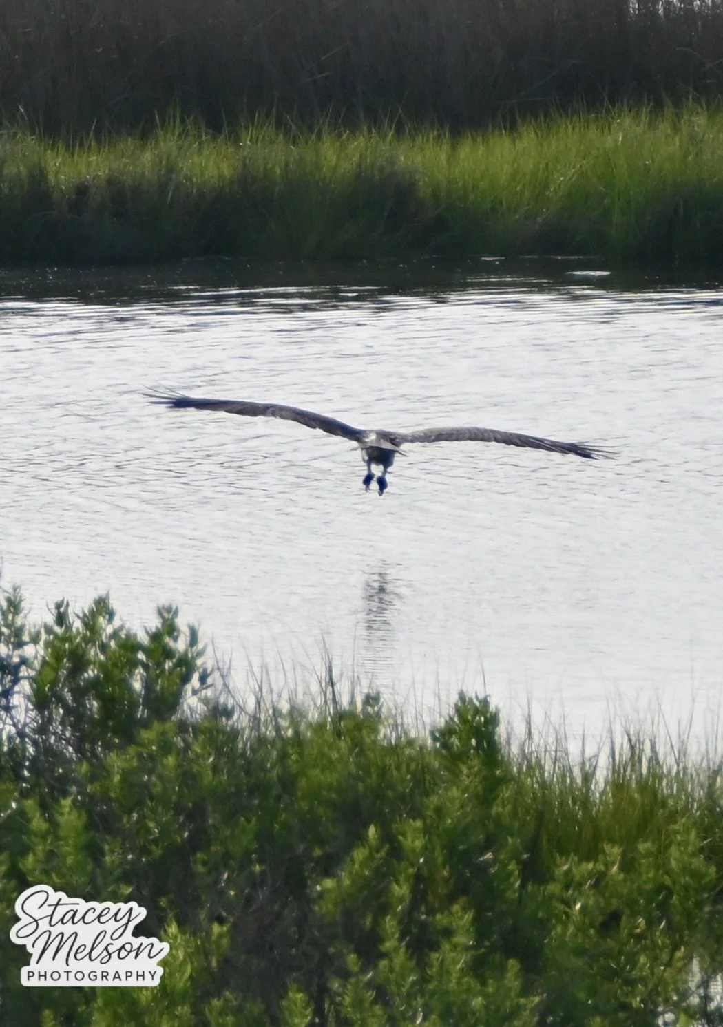 DSC_0774.jpeg