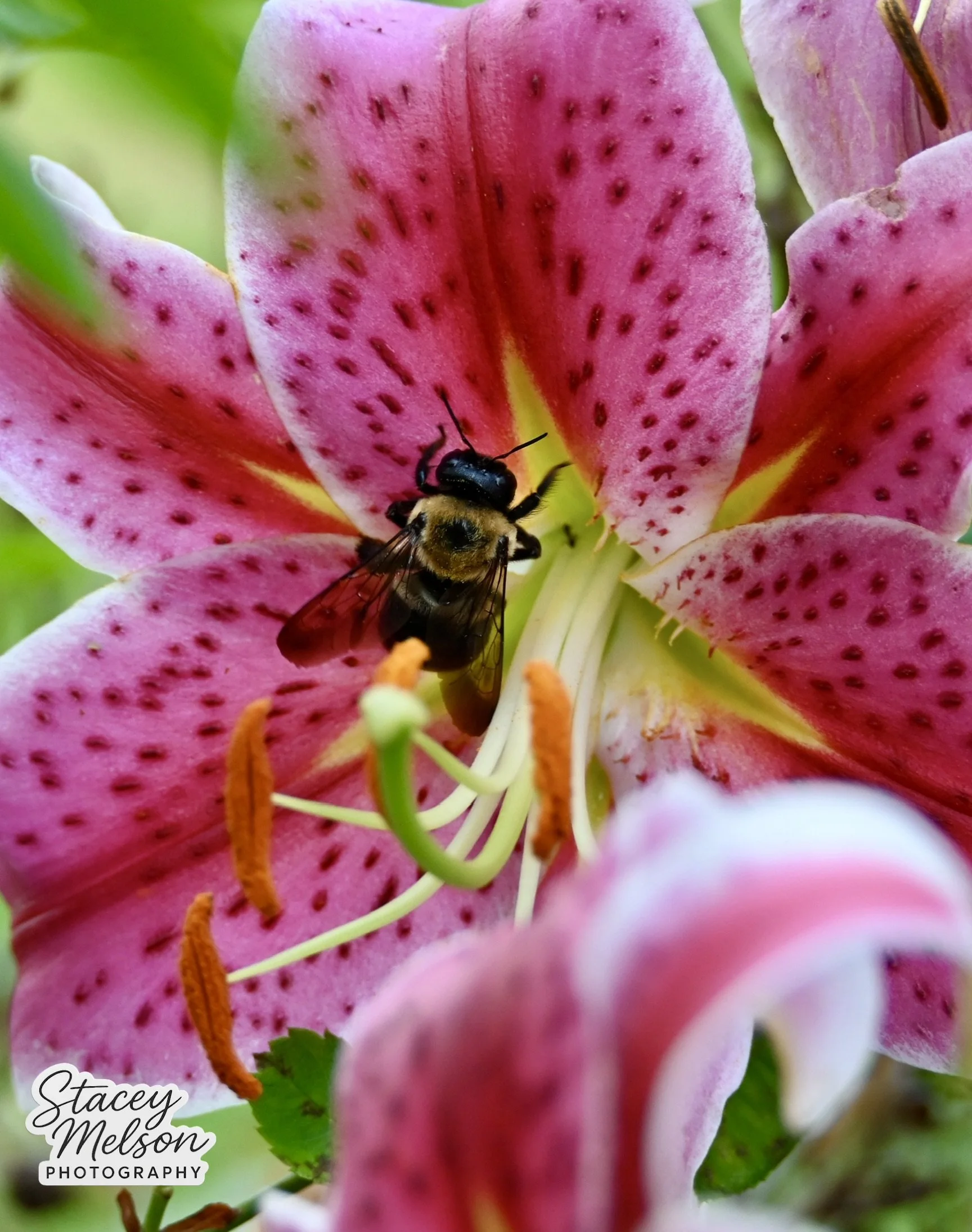 DSC_1314.jpeg