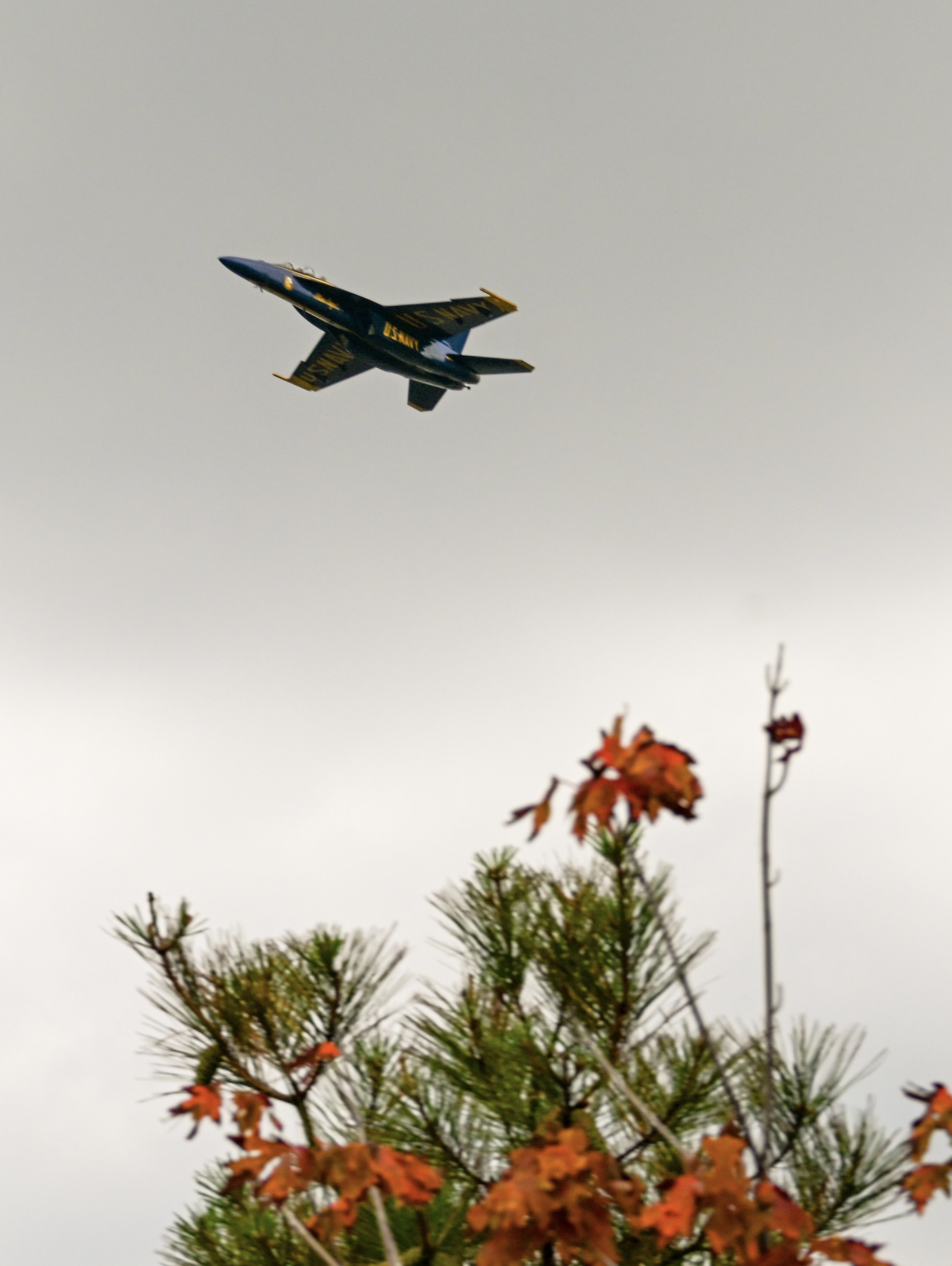 DSC_8420.jpeg