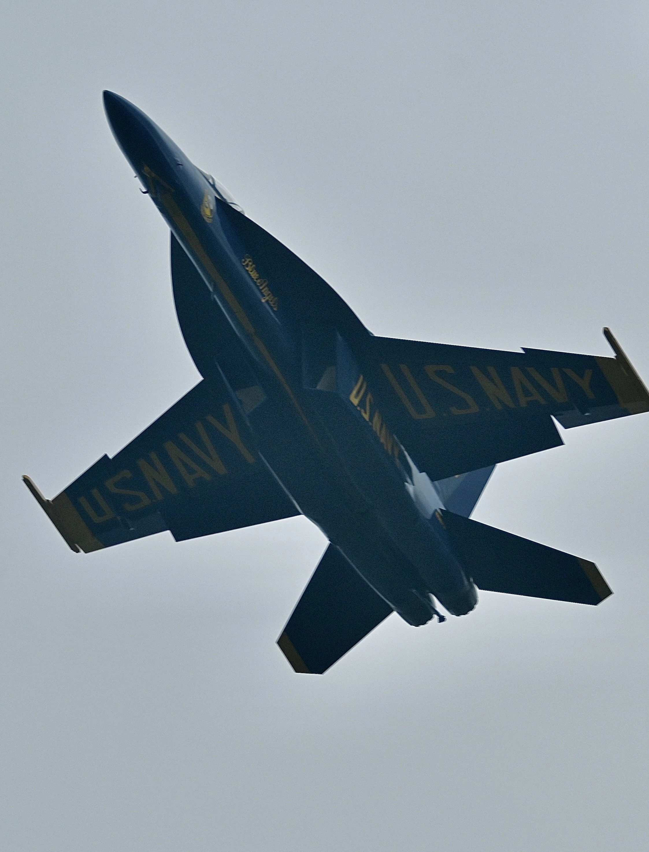 DSC_9067.jpeg
