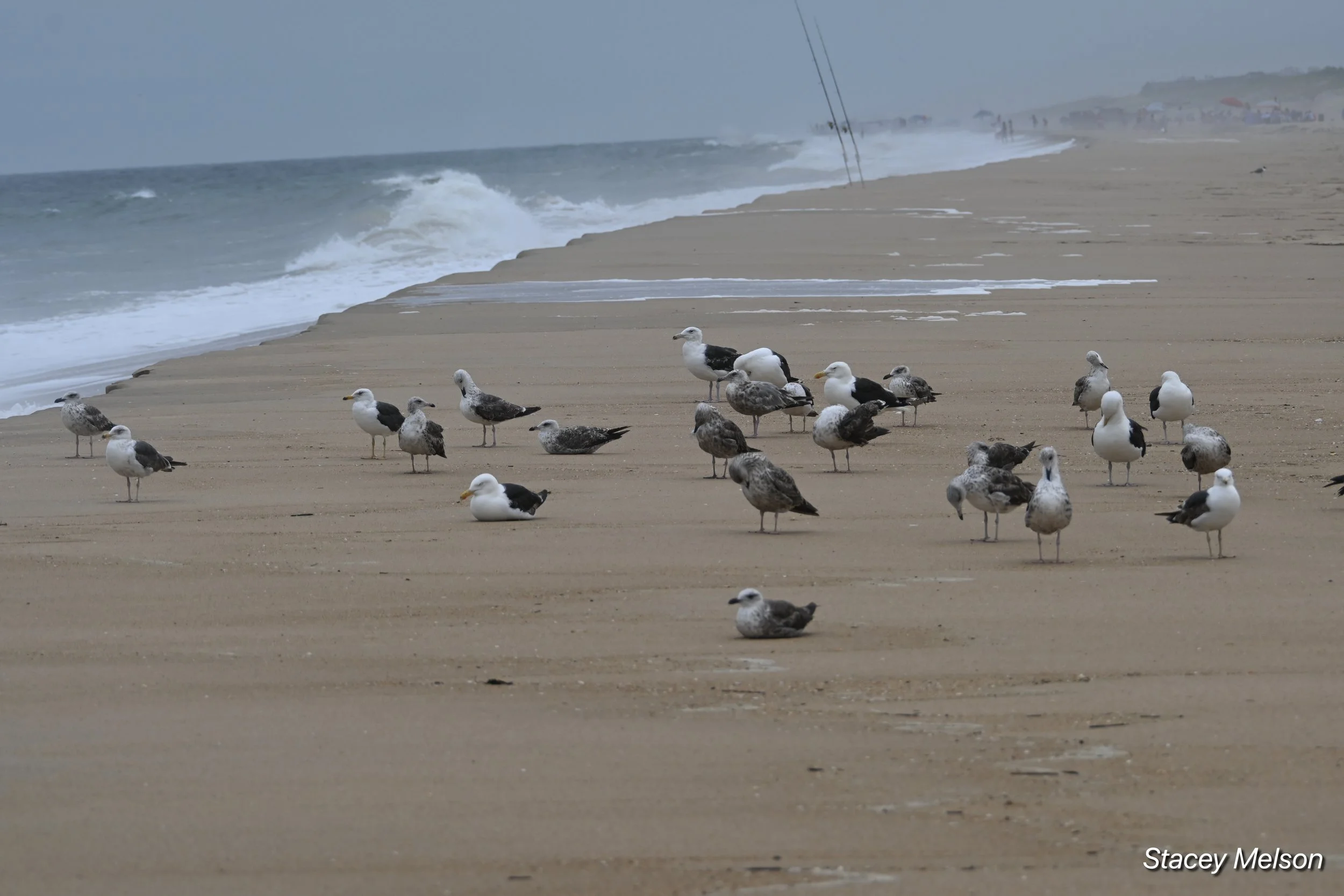 DSC_0670.jpeg