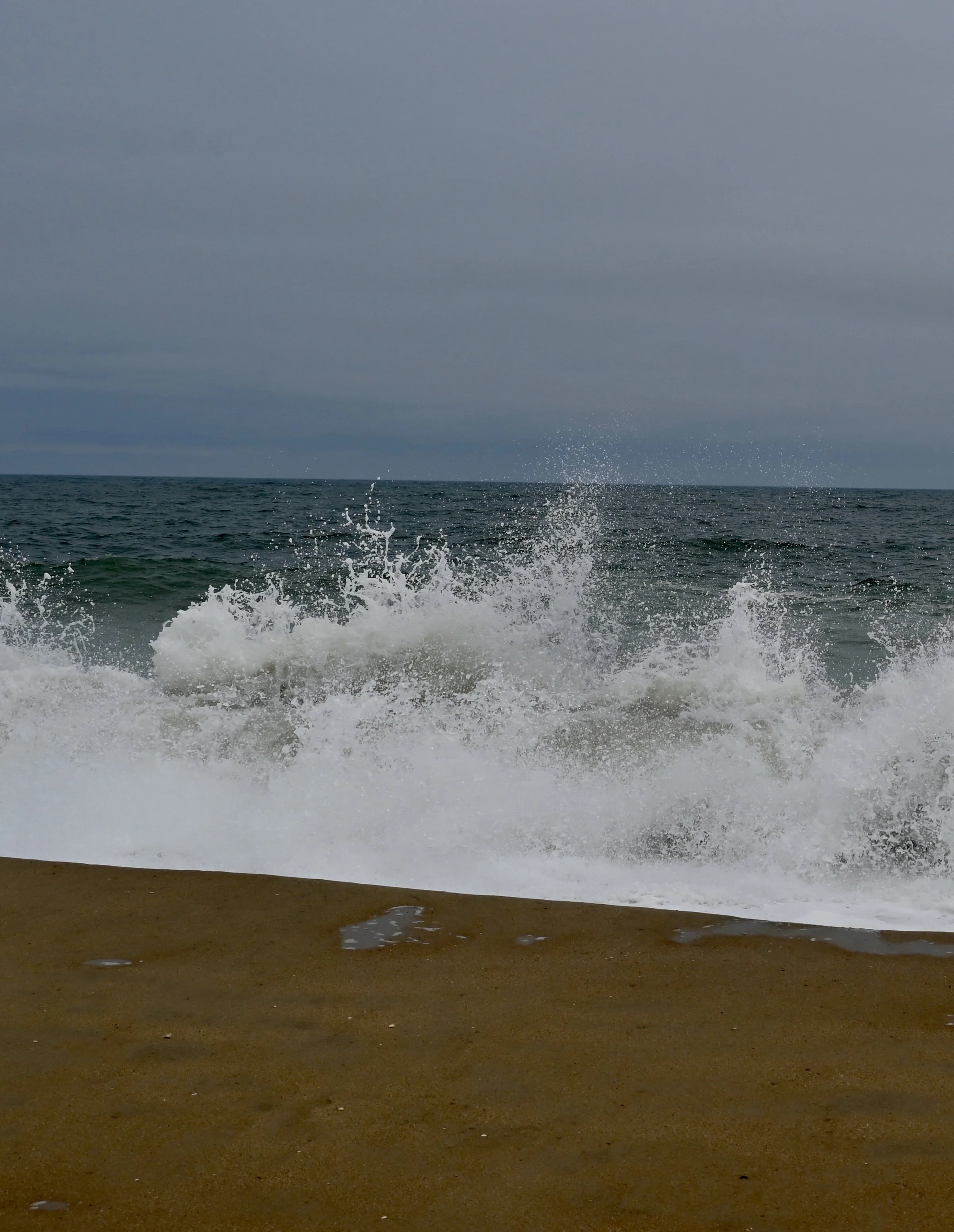 DSC_0627.jpeg