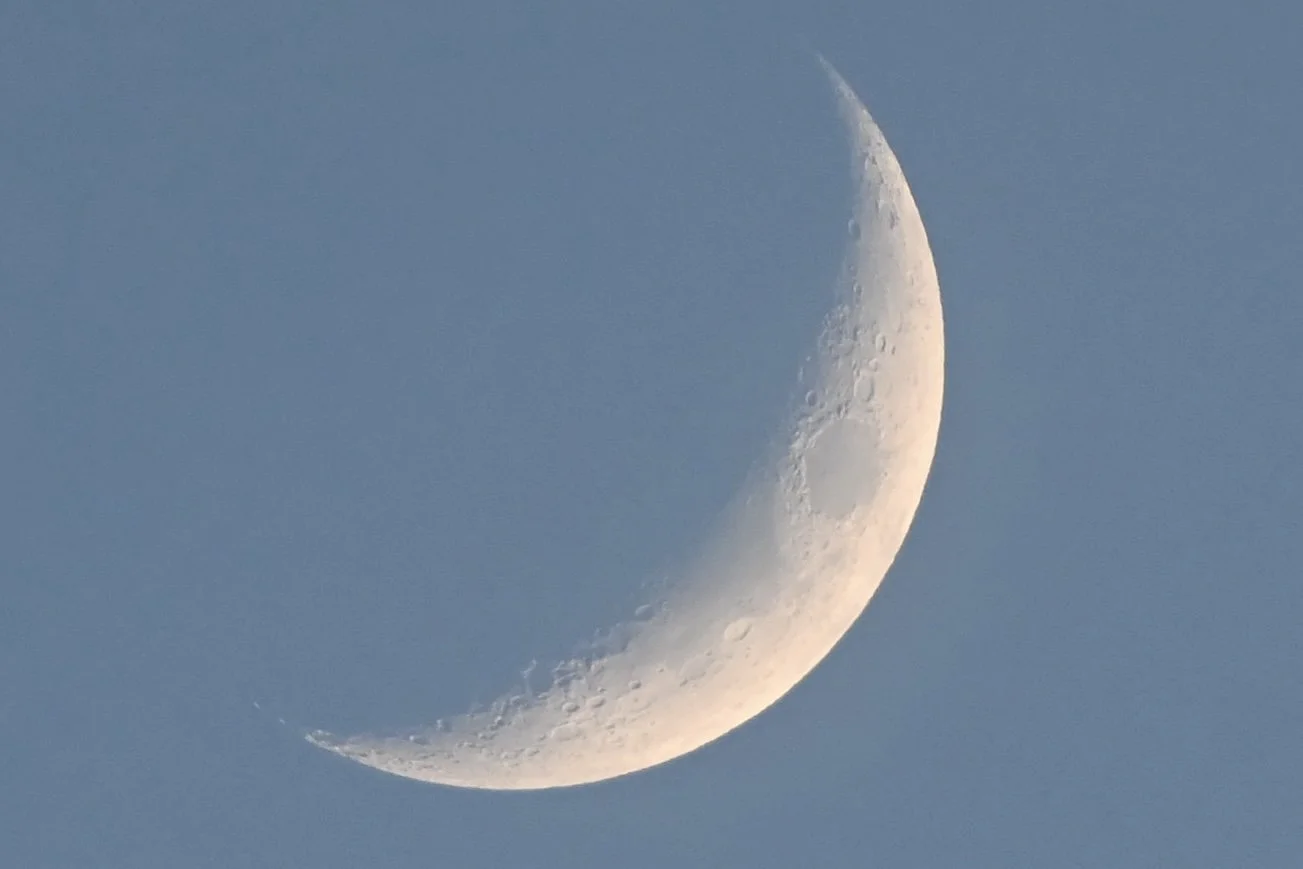 DSC_6004.jpeg