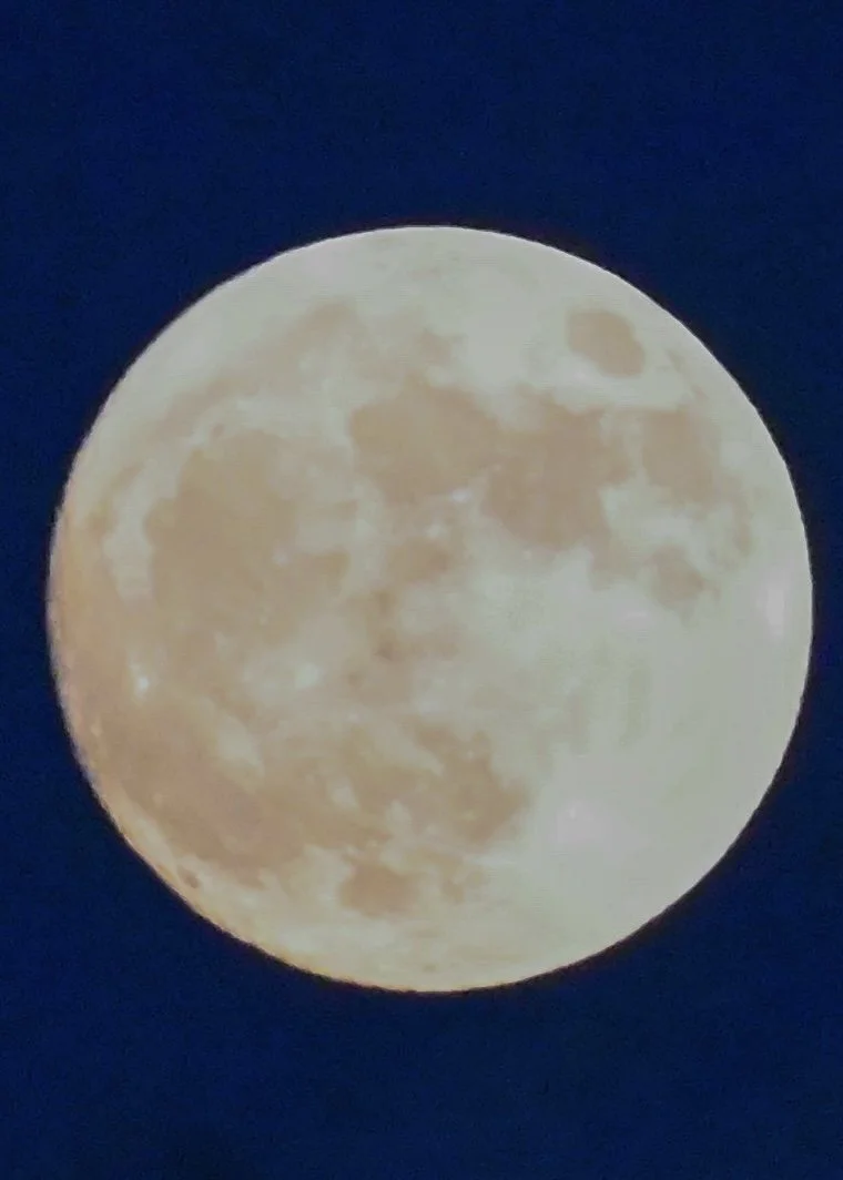 DSC_9480.jpeg