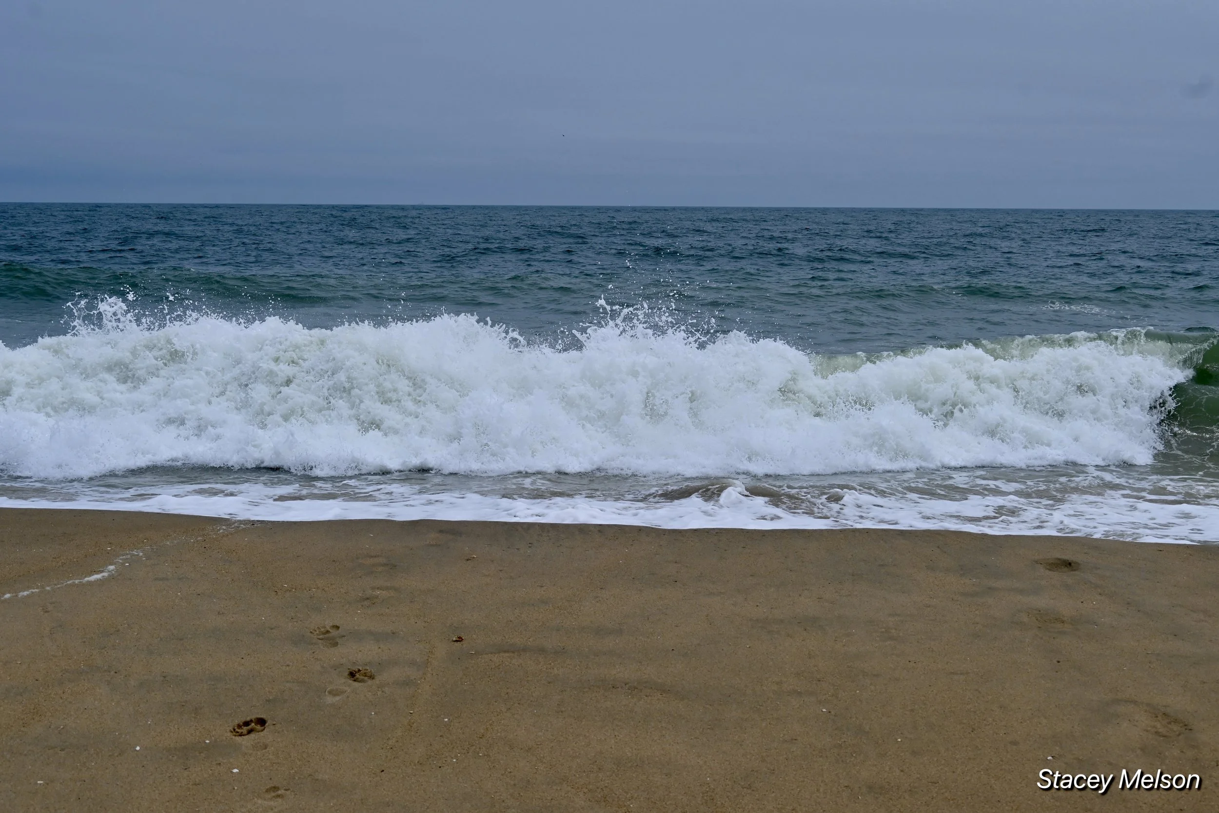 DSC_0650.jpeg