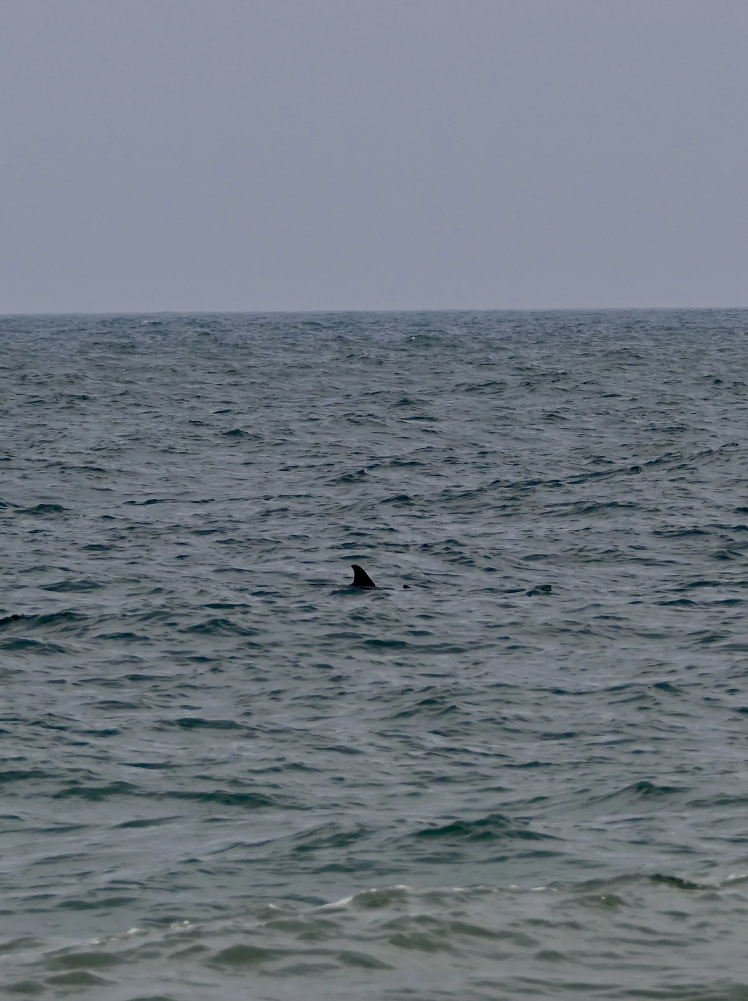 DSC_0708.jpeg