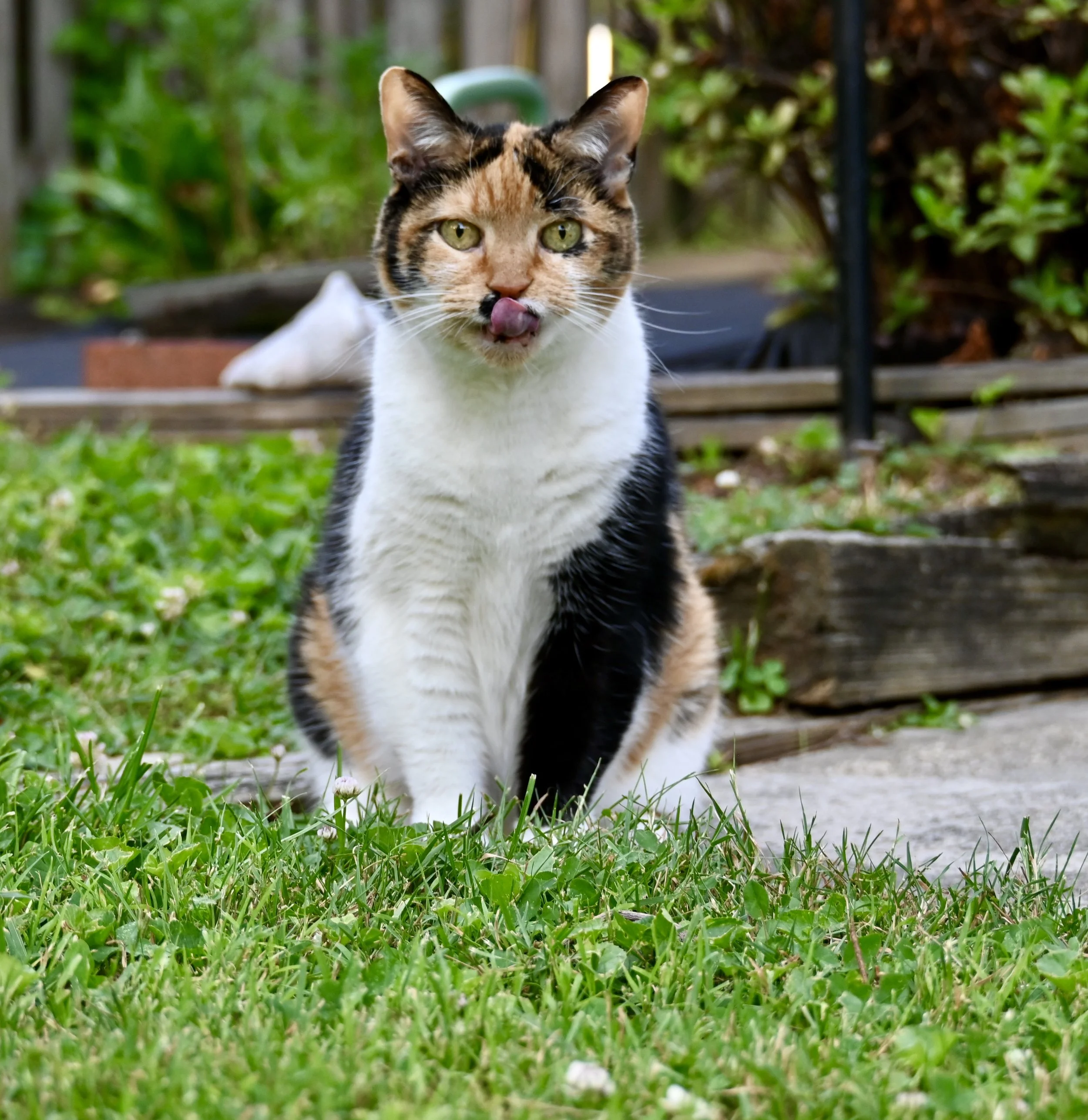 DSC_5551.jpeg