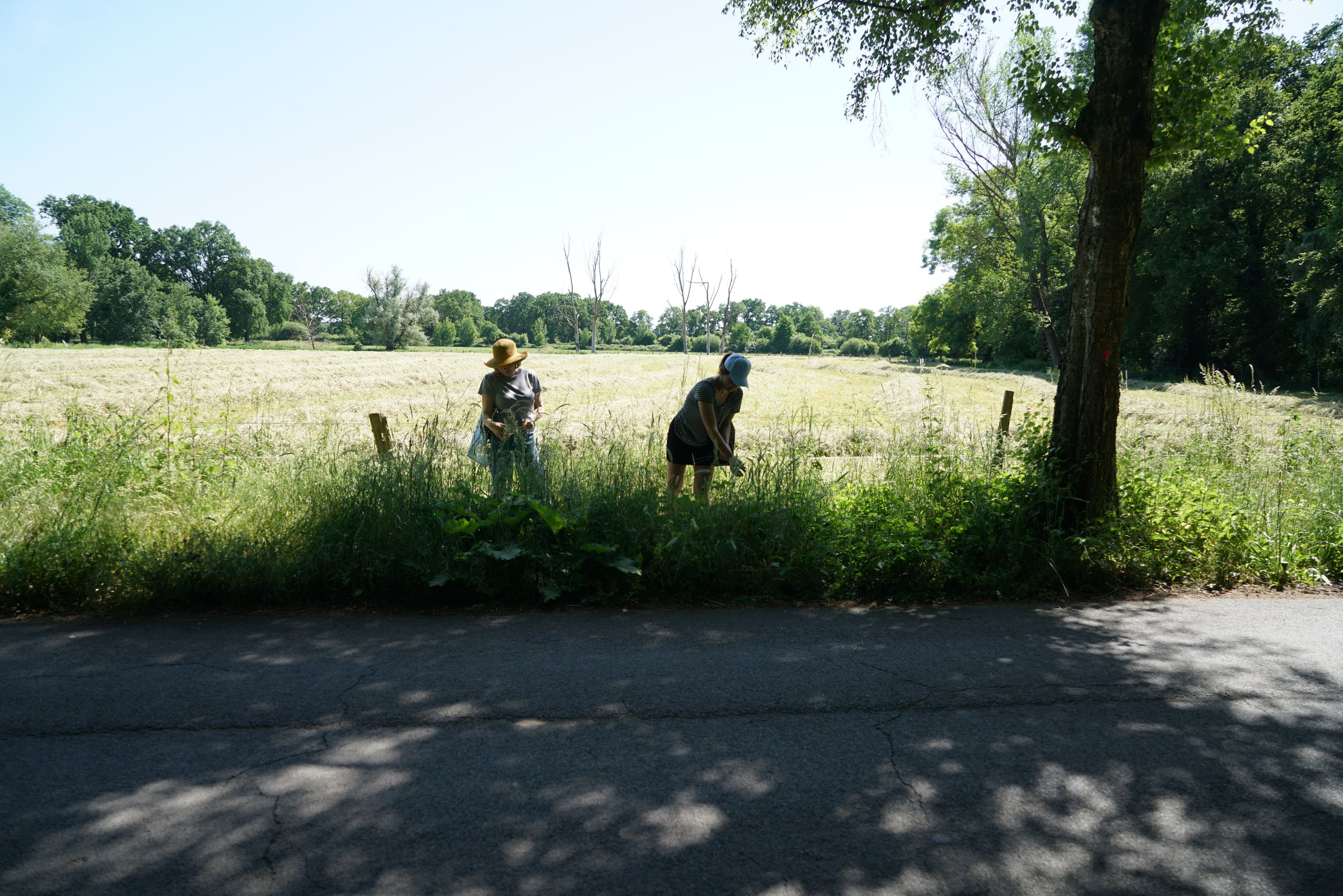 DSC00609 Kopie.jpg