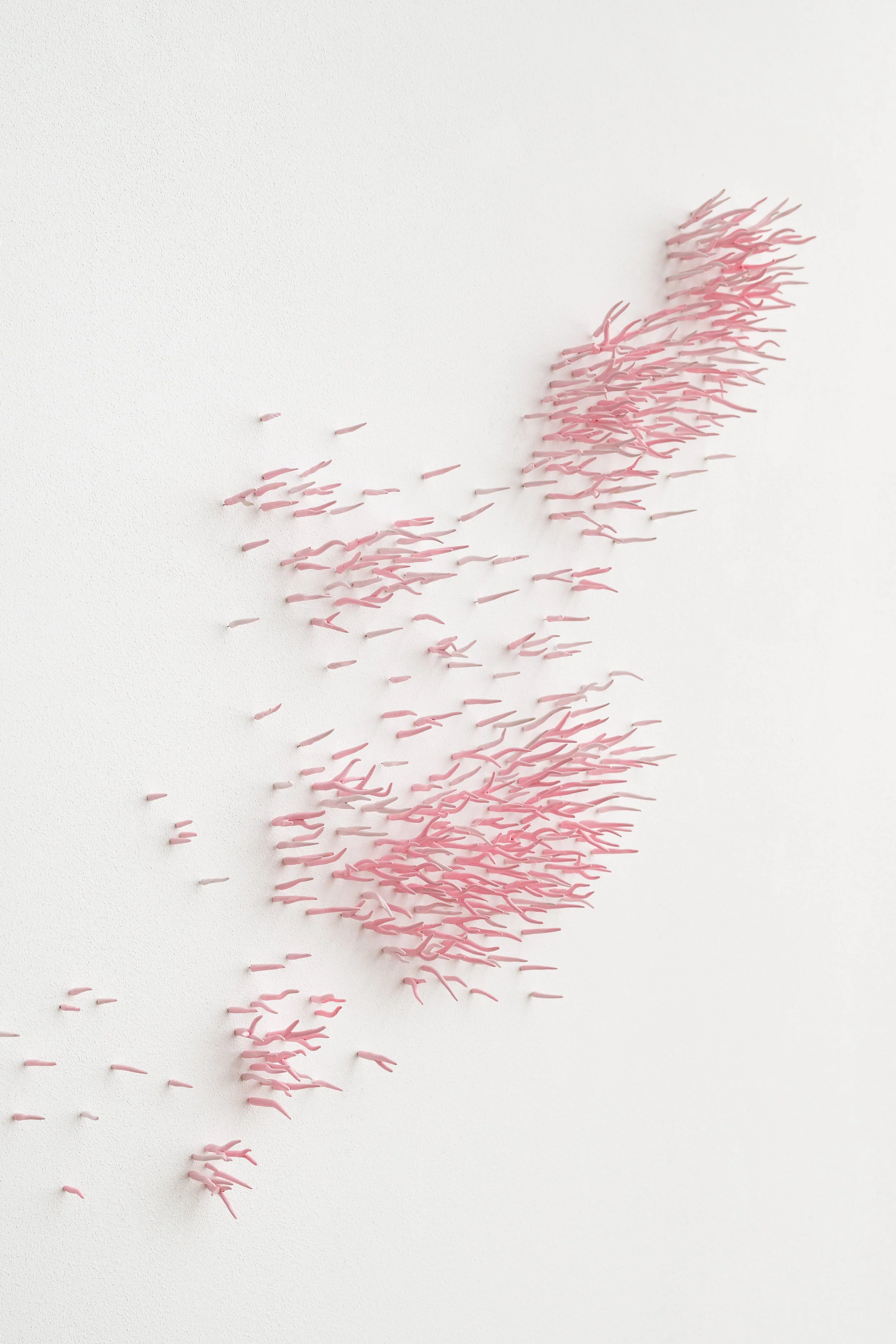 Barbara Schmitz-Becker