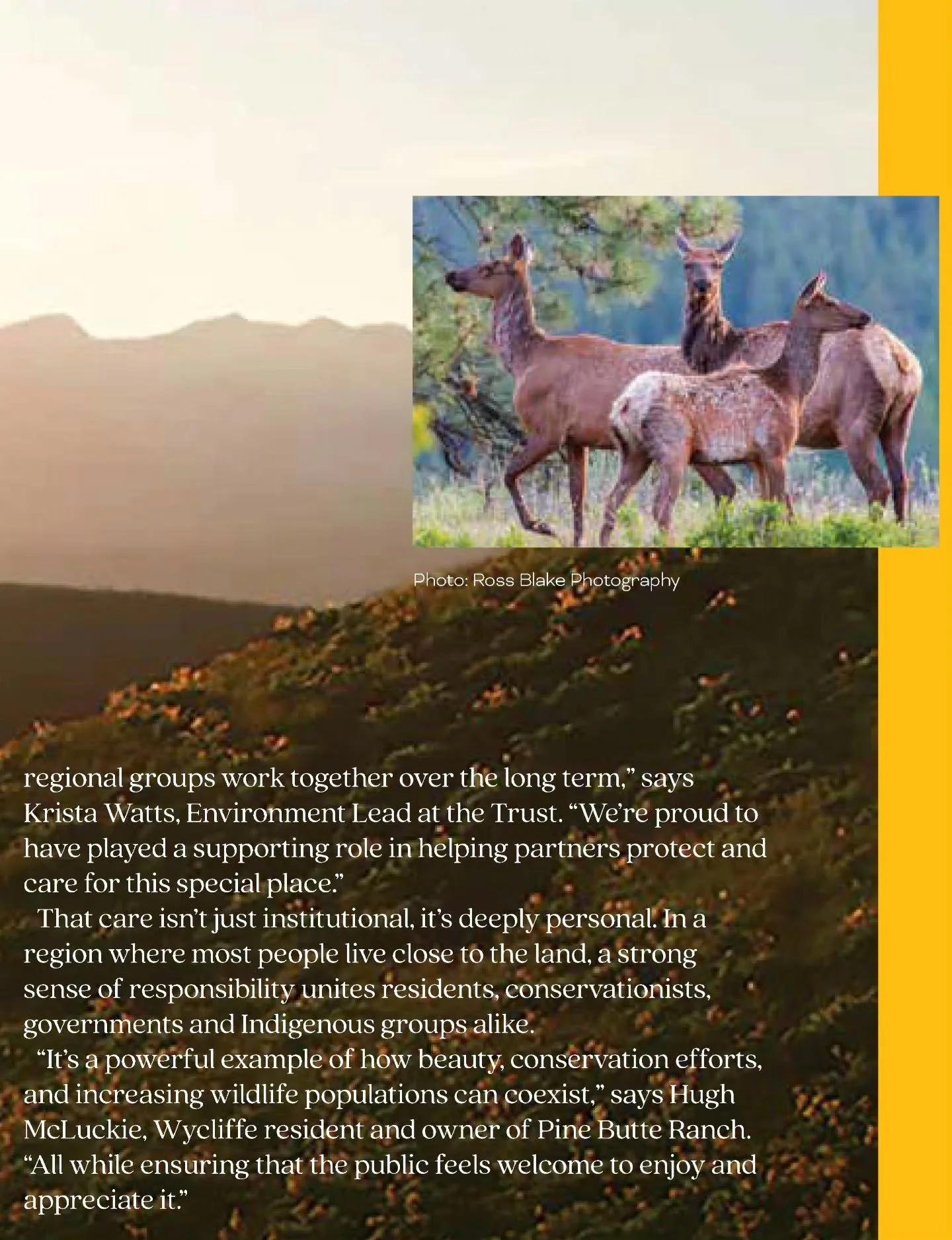 I am very grateful to be part of the @columbiabasintrust 30th anniversary edition of their Our Trust Magazine.  The Trust does such important work in this region that I call home, and I love celebrating #basinlife through my photos.

Link in bio.

Th