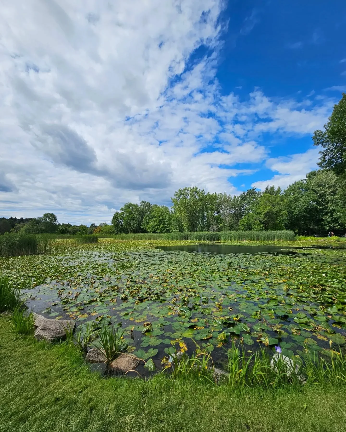 I spent more time in the #jardinbotaniquedemontreal this trip than previously, especially as @b_rit113 had never been.  Took some beautiful birds photos to be posted on my @rossblakephotography account

#chinesegarden 
#espacepourlavie
#Jardinbotaniq