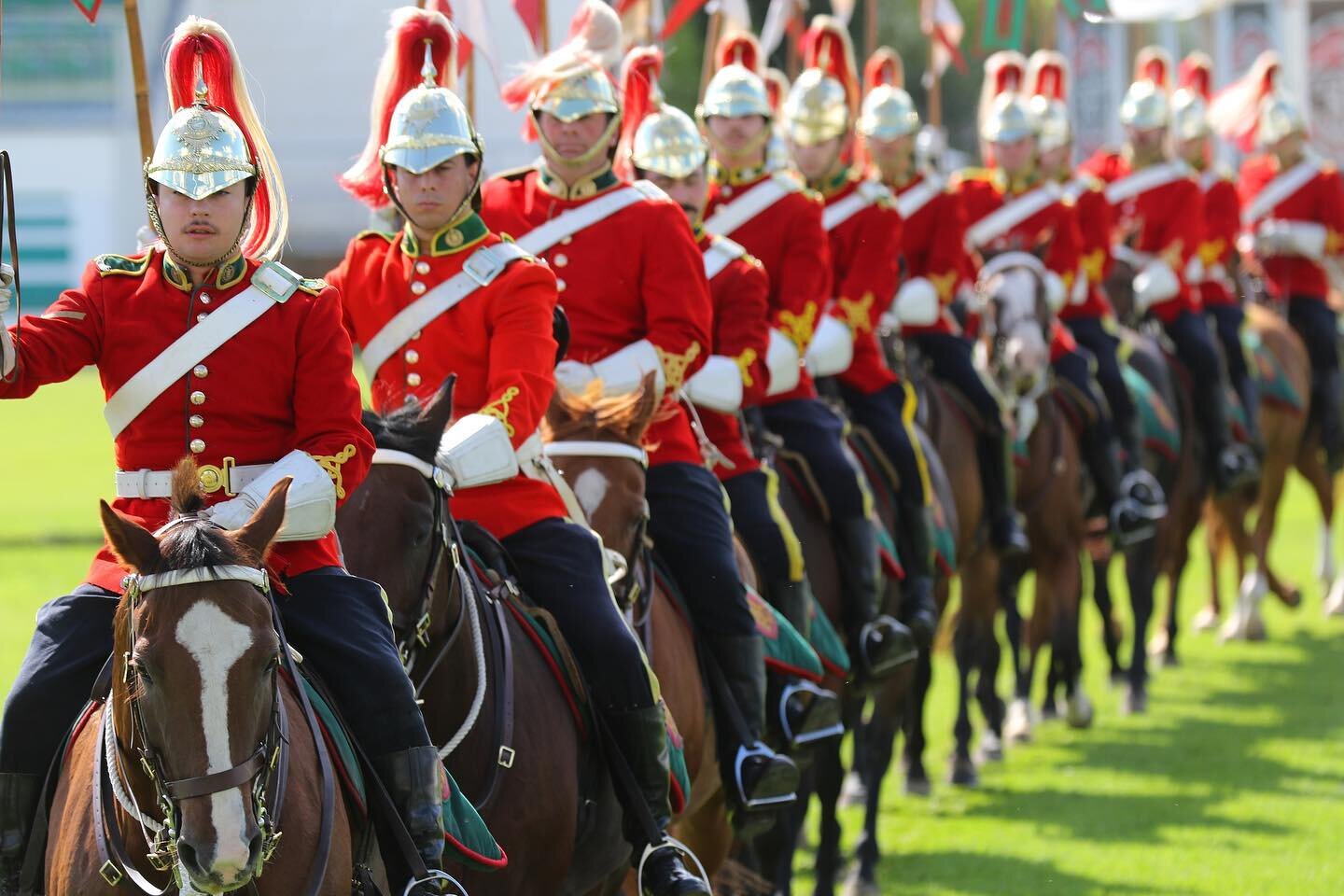 The Lord Strathcona&rsquo;s Horse. A lot of these riders had no experience with horses before their mounted assignment. Did anyone see the bad fall one of them had at the North American tournament? A few of the show jumpers were patting the poor guy 