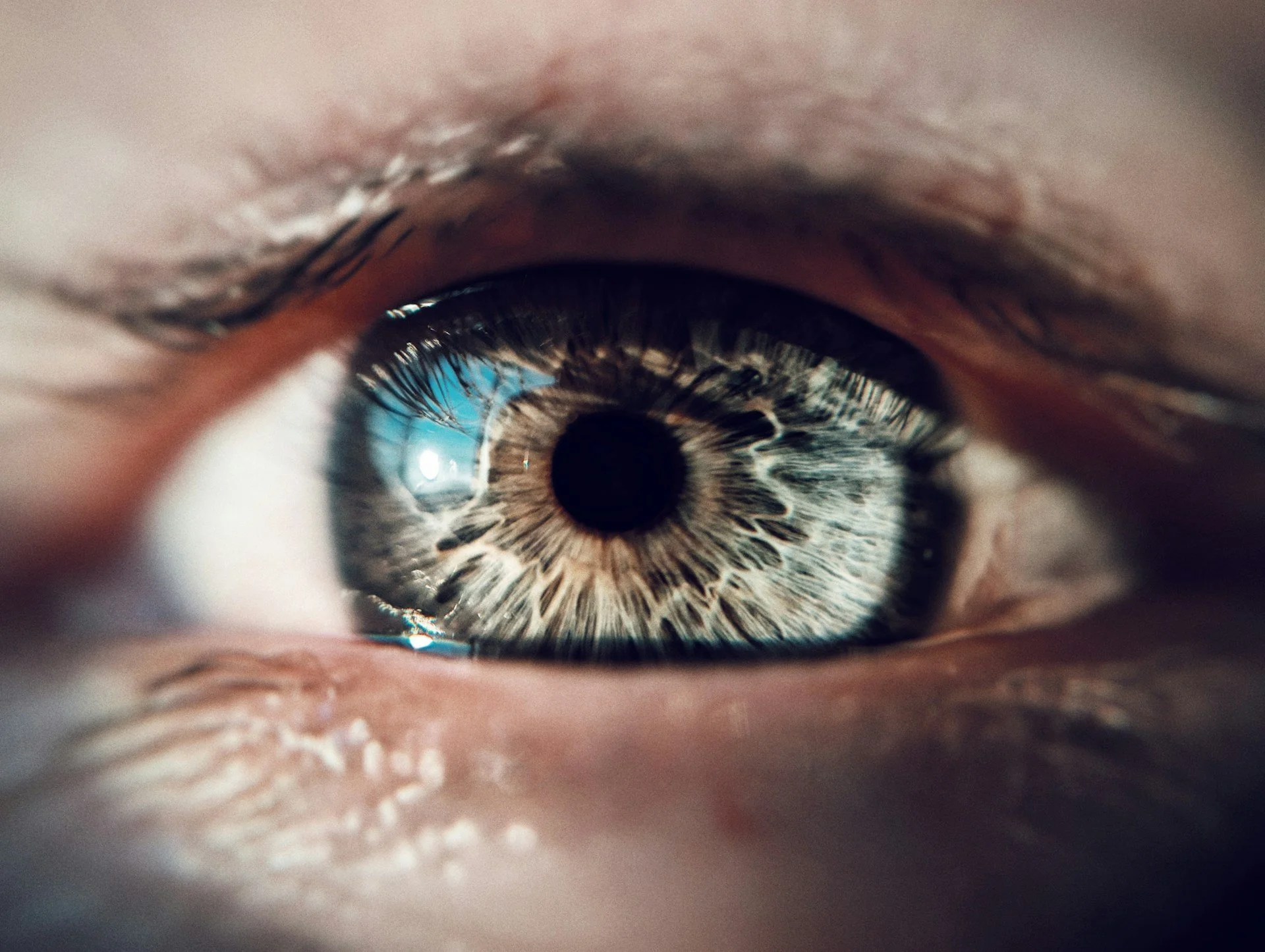 The Window of the Soul