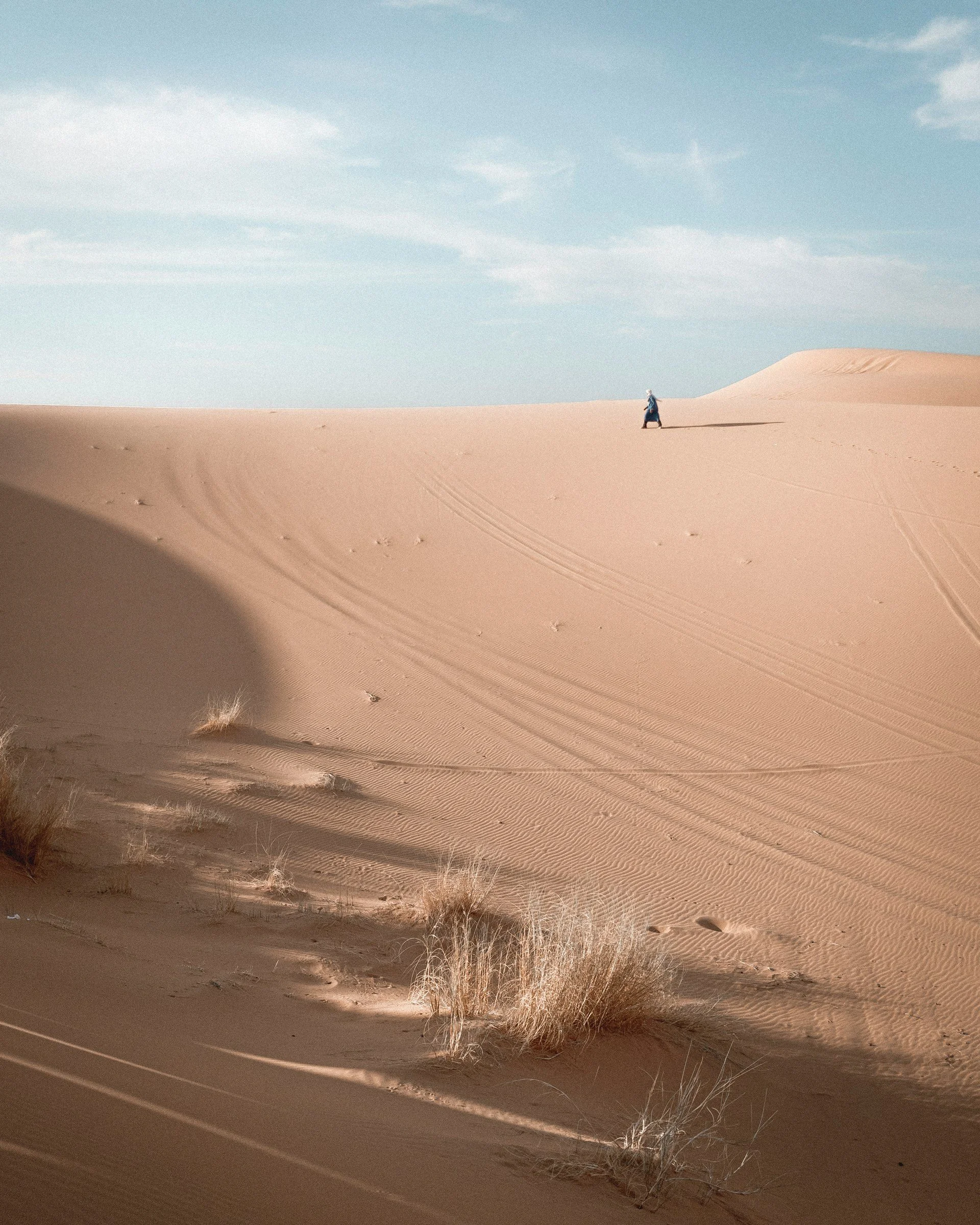 A Voice in the Desert