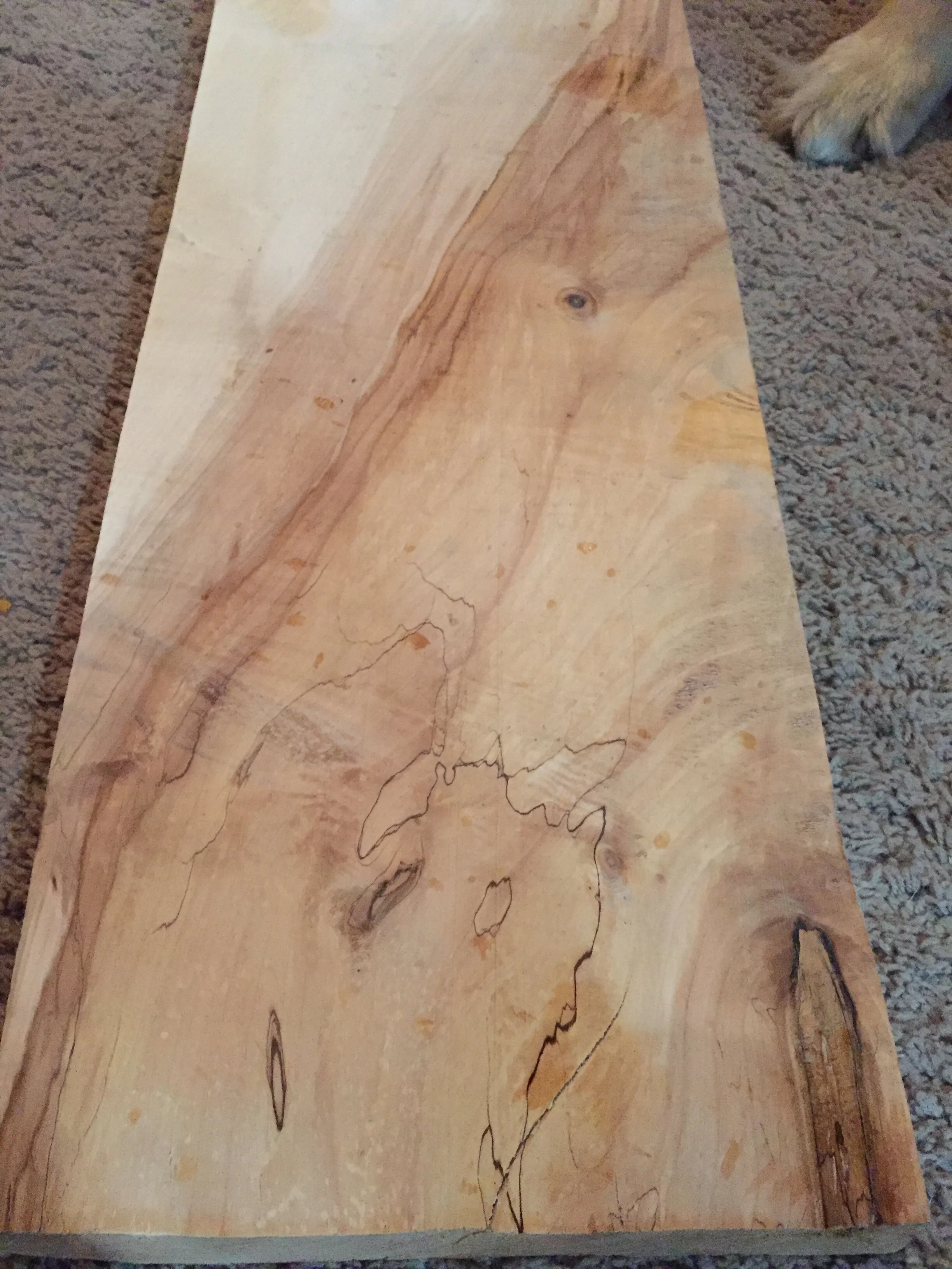 A beautiful piece of maple. 