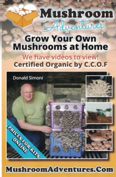 Mushroom.jpg