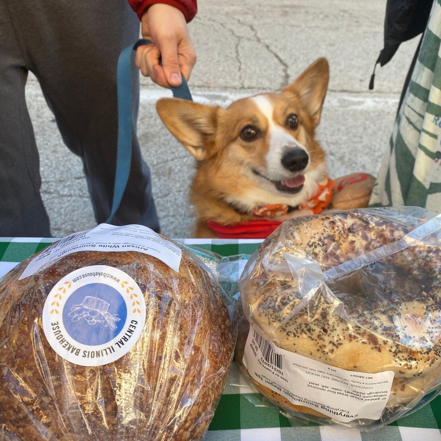 This is your friendly reminder to set your alarms ⏰ early for tomorrow's farmers market @bloomingtonmarket We will have all the bread, pastries, and more available! 

Martinelli's Market - Bloomington is open every Saturday from 7:00 am - 2:00 pm at 