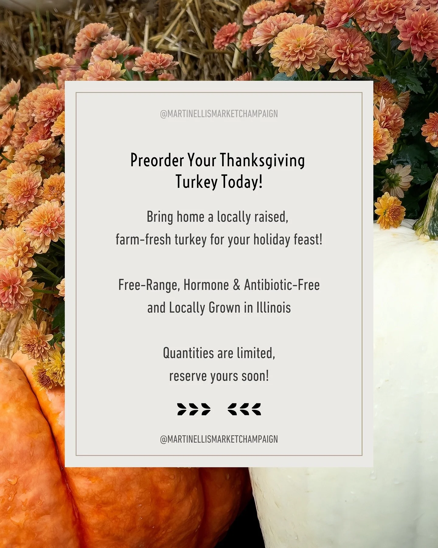We are now taking preorders for Thanksgiving turkeys!

Here&rsquo;s what you need to know about our turkeys:

Free-Range Birds: Ensuring the best quality meat for your Thanksgiving table.

Hormone and Antibiotics Free: We are committed to providing y