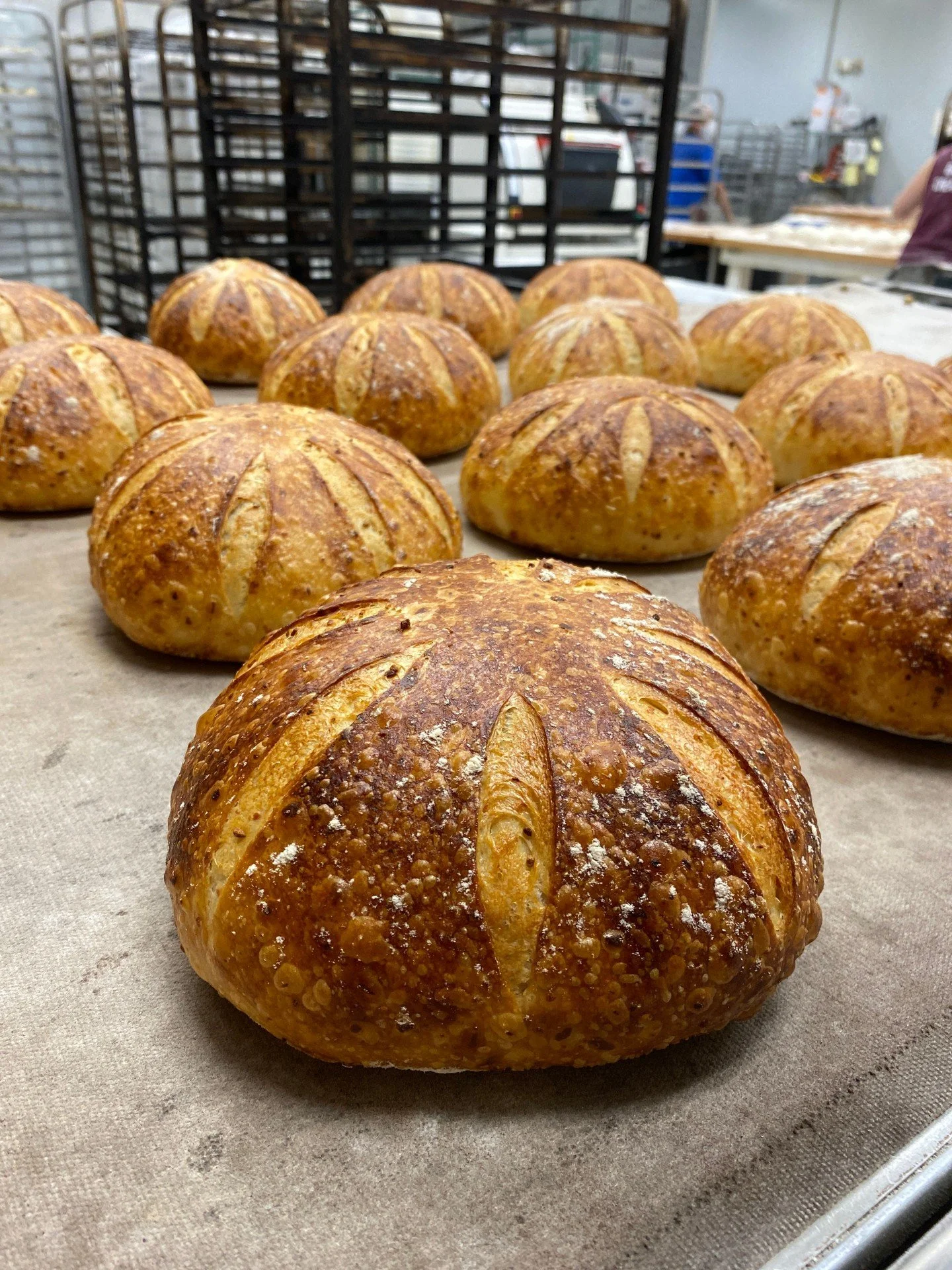 This Saturday, come taste the bread.

We are hosting a Sourdough Tasting at Martinelli's on April 18th from 10am&ndash;1pm. You'll get to taste through four loaves from Central Illinois Bakehouse: Artisan White Whole Wheat, Yukon, Rosemary, and Marti