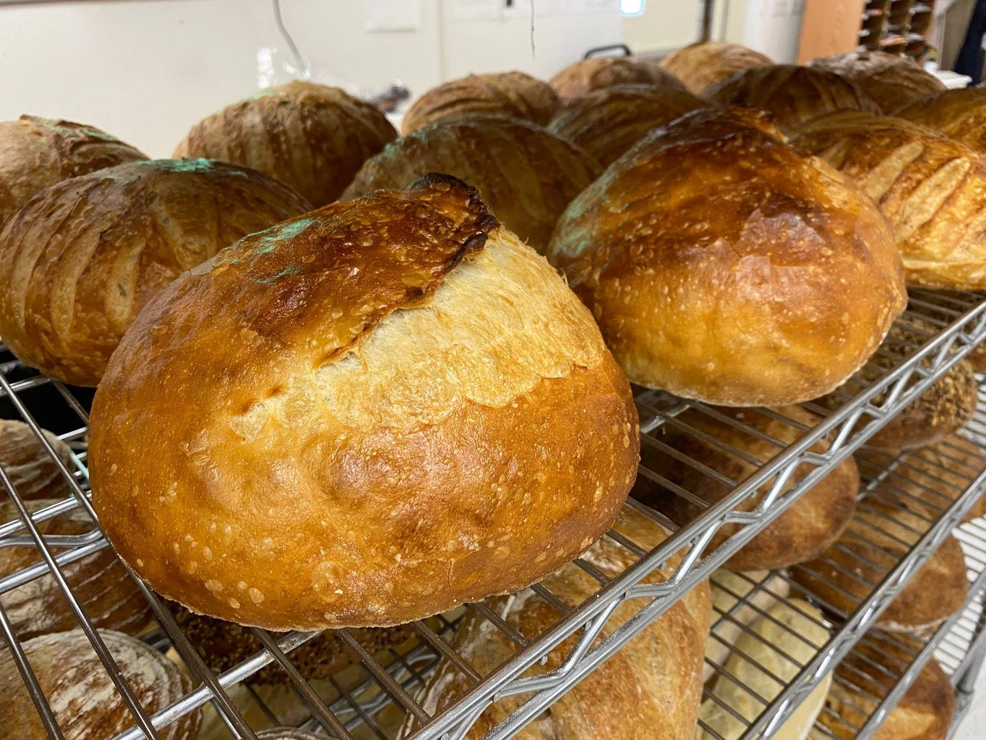 Robb and Betsy are set up and ready to break bread.

Today only: free sourdough tasting at Martinelli's from 10am&ndash;1pm. Come try the Artisan White Whole Wheat, Yukon, Rosemary, and Martinelli's Rye side by side. All four loaves are available to 