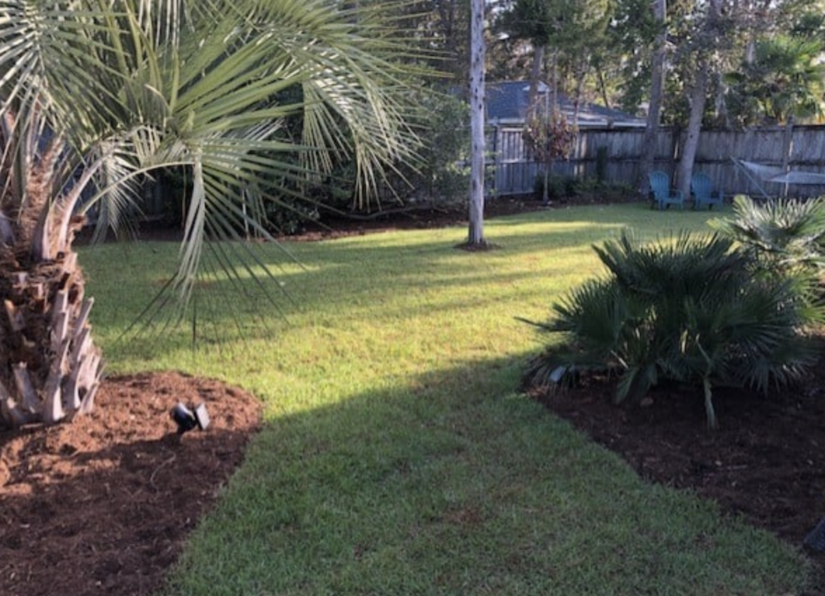 Wrightsville_Avenue_NC_Hydrowise_Backyard2.png
