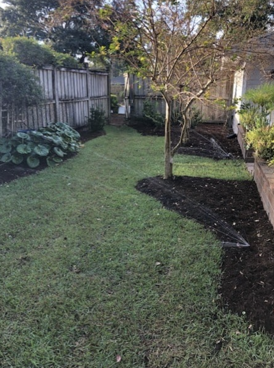 Wrightsville_Avenue_NC_Hydrowise_Backyard1.png