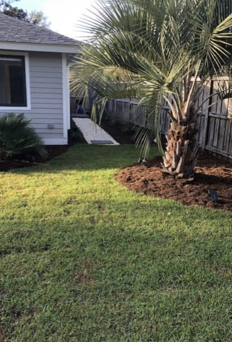 Wrightsville_Avenue_NC_Hydrowise_Backyard3.png