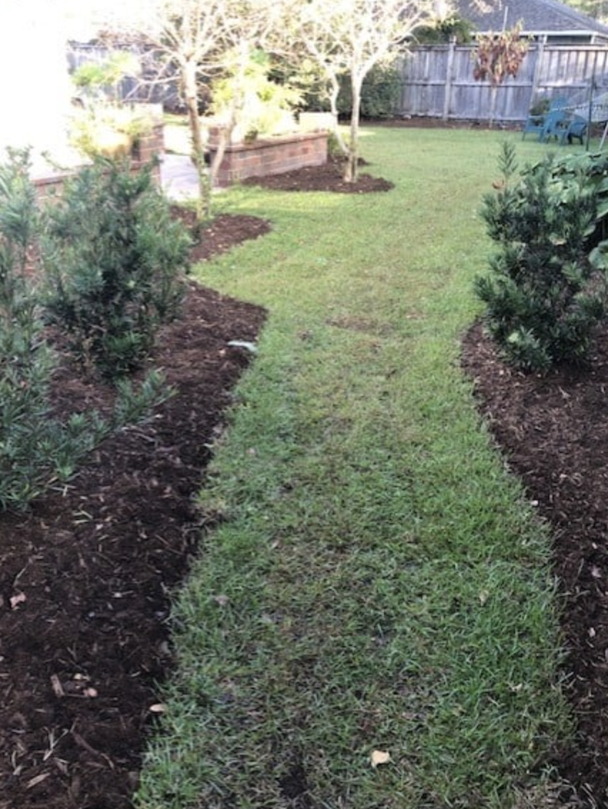 Wrightsville_Avenue_NC_Hydrowise_Backyard5.png