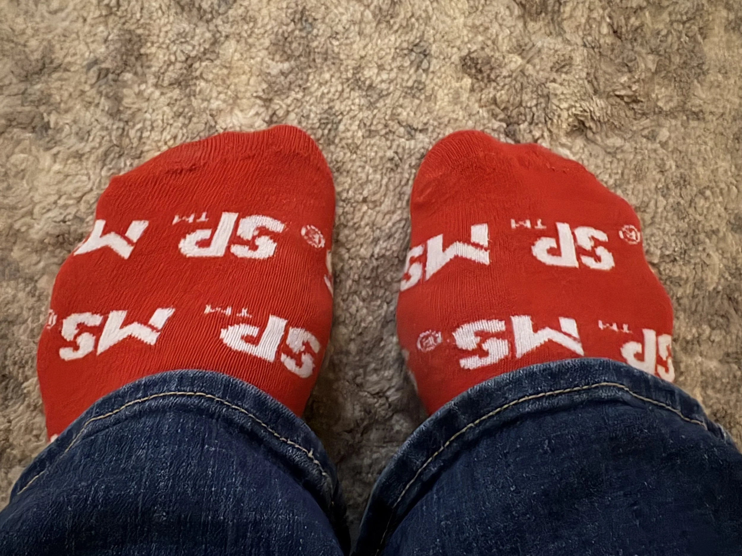 MS Walk: 5th Anniversary