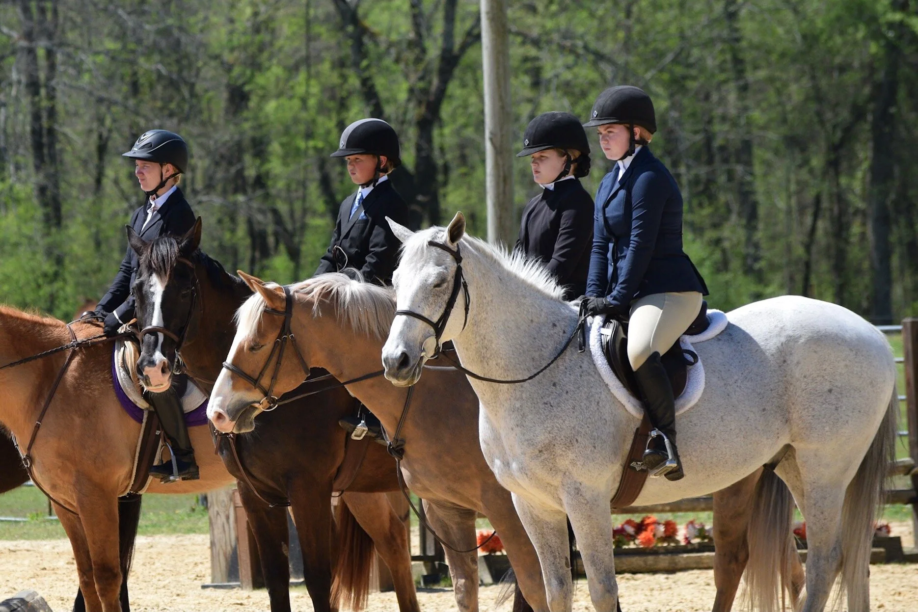 Resources — Arkansas Hunter Jumper Association
